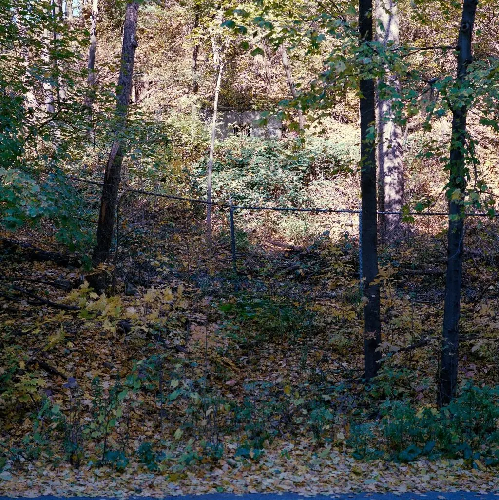 Forest Bunker