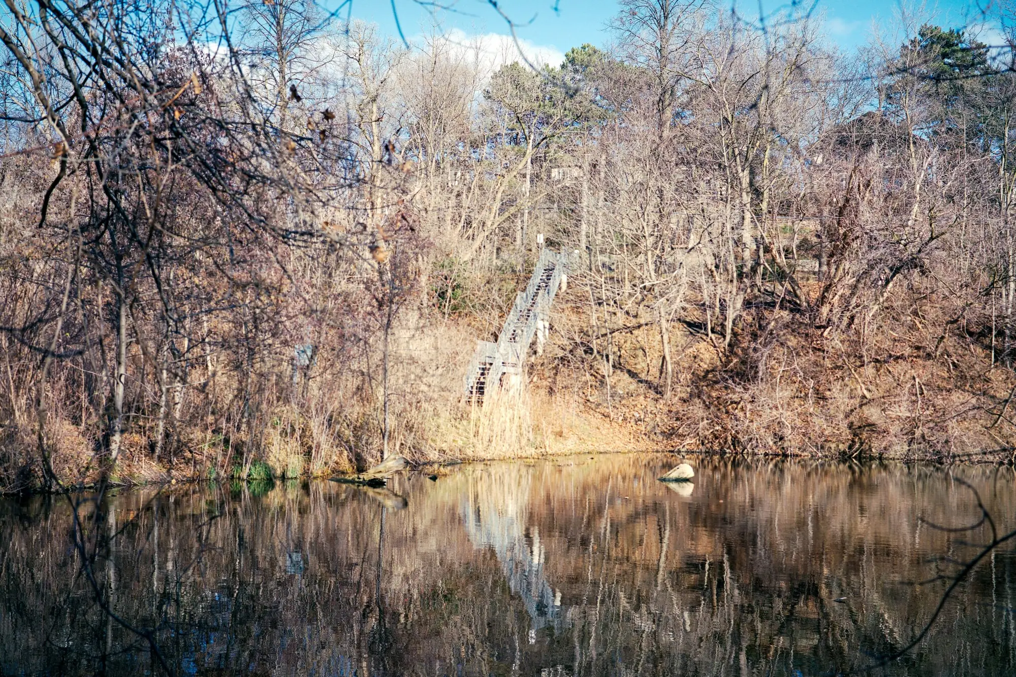 Before the Snow