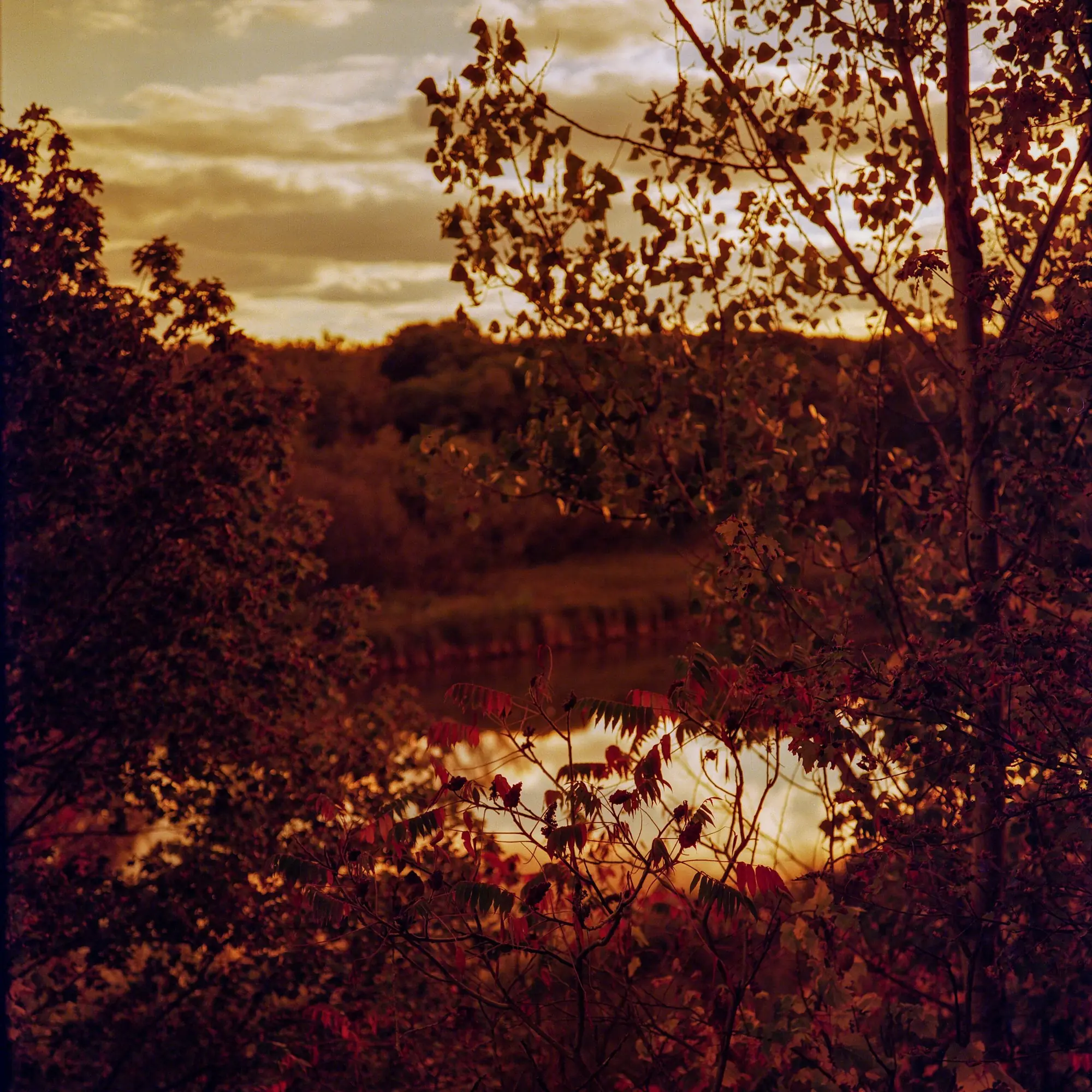 Humber River in Red