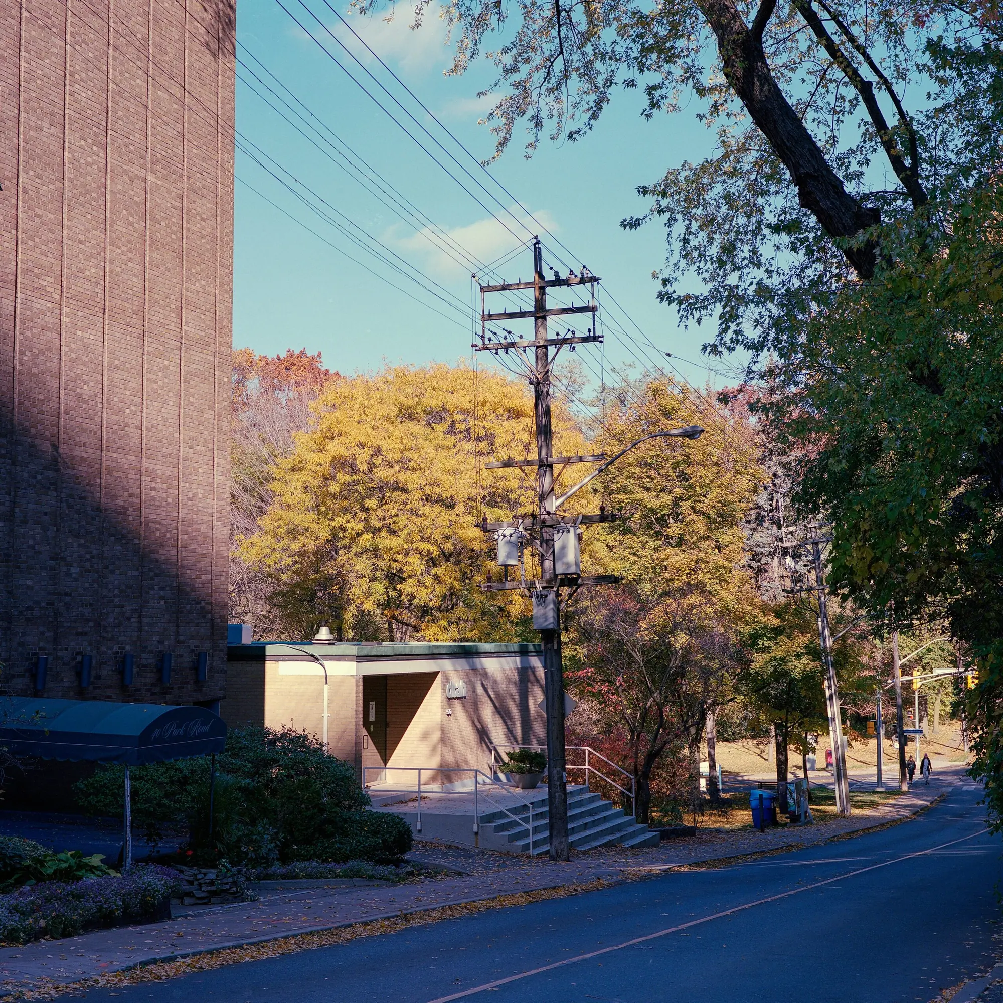A Telephone Poll