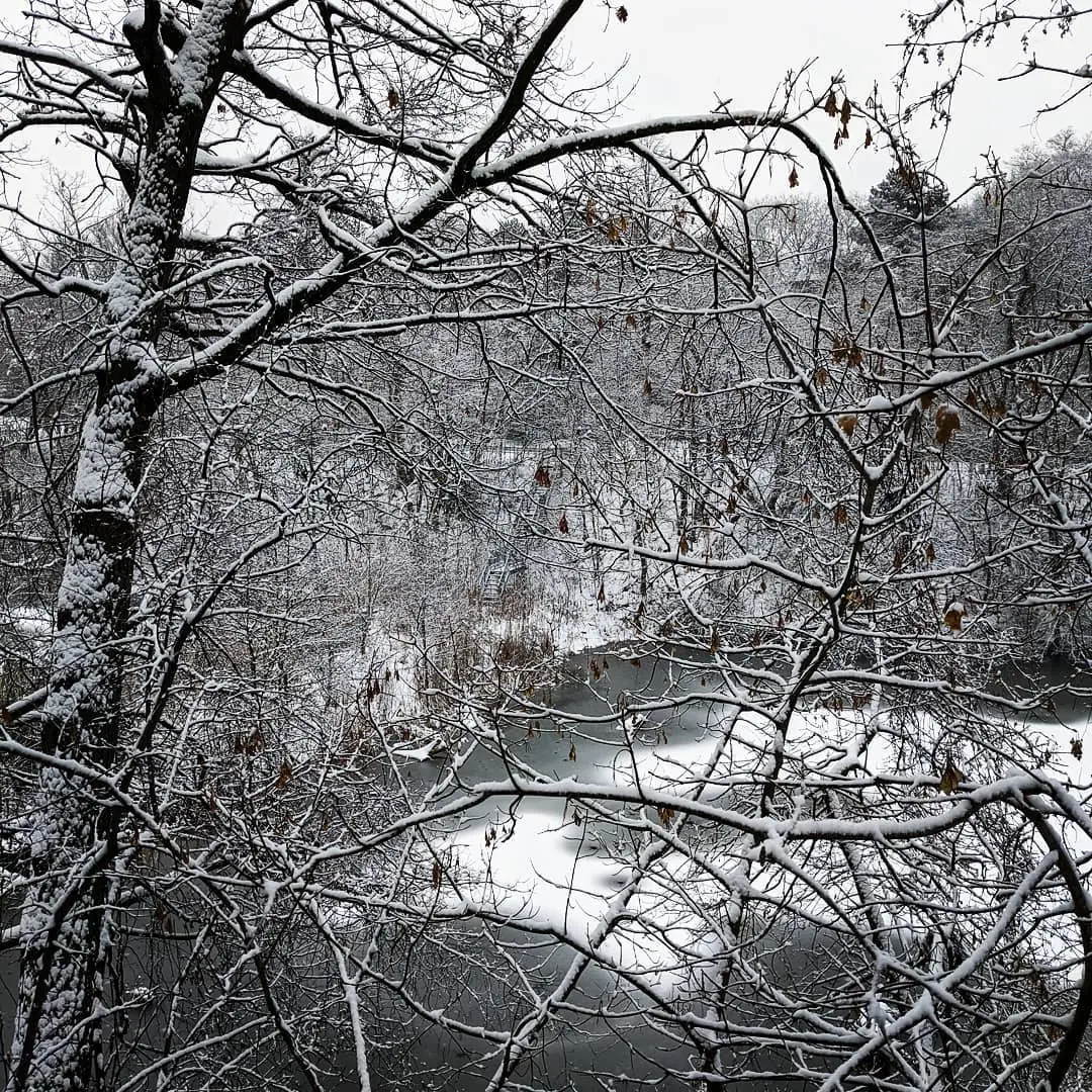 (Untitled)