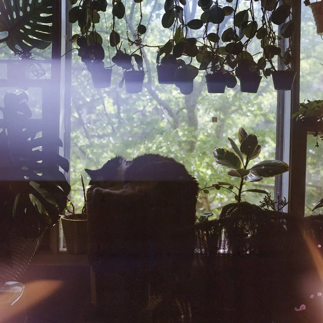 (Untitled)
