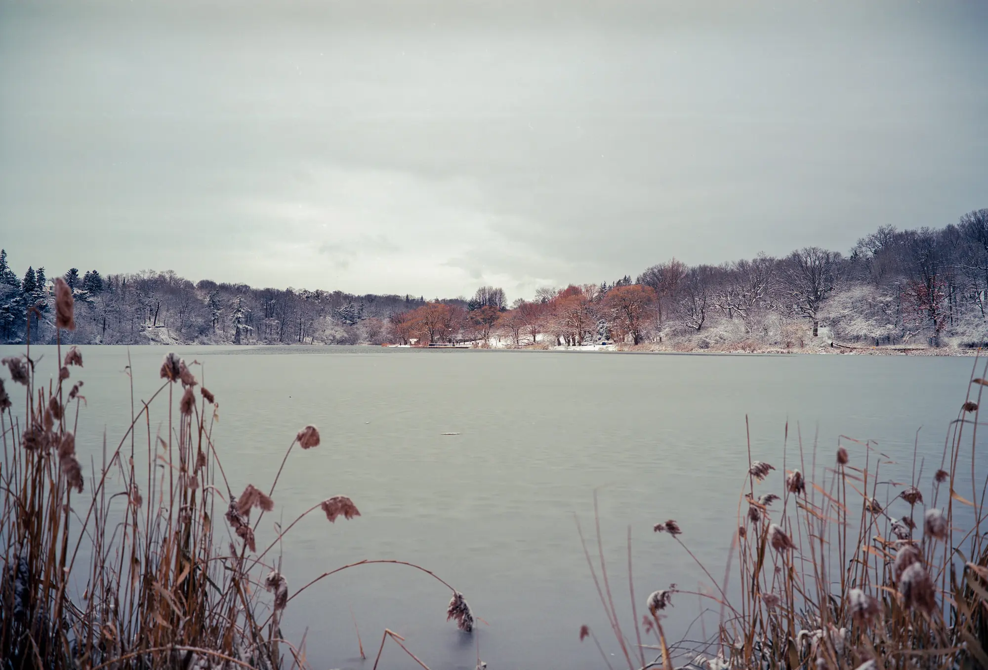 A Cold Day on Grenadier Pond