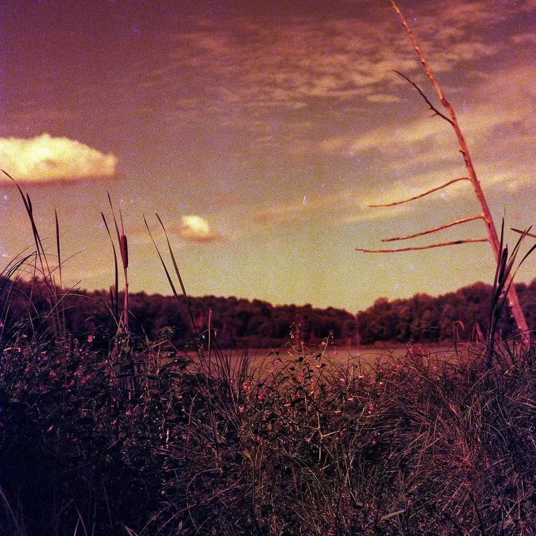 Mann Lake