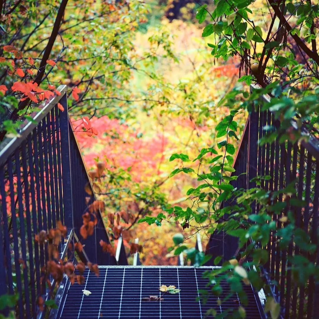 Stairs to Fall