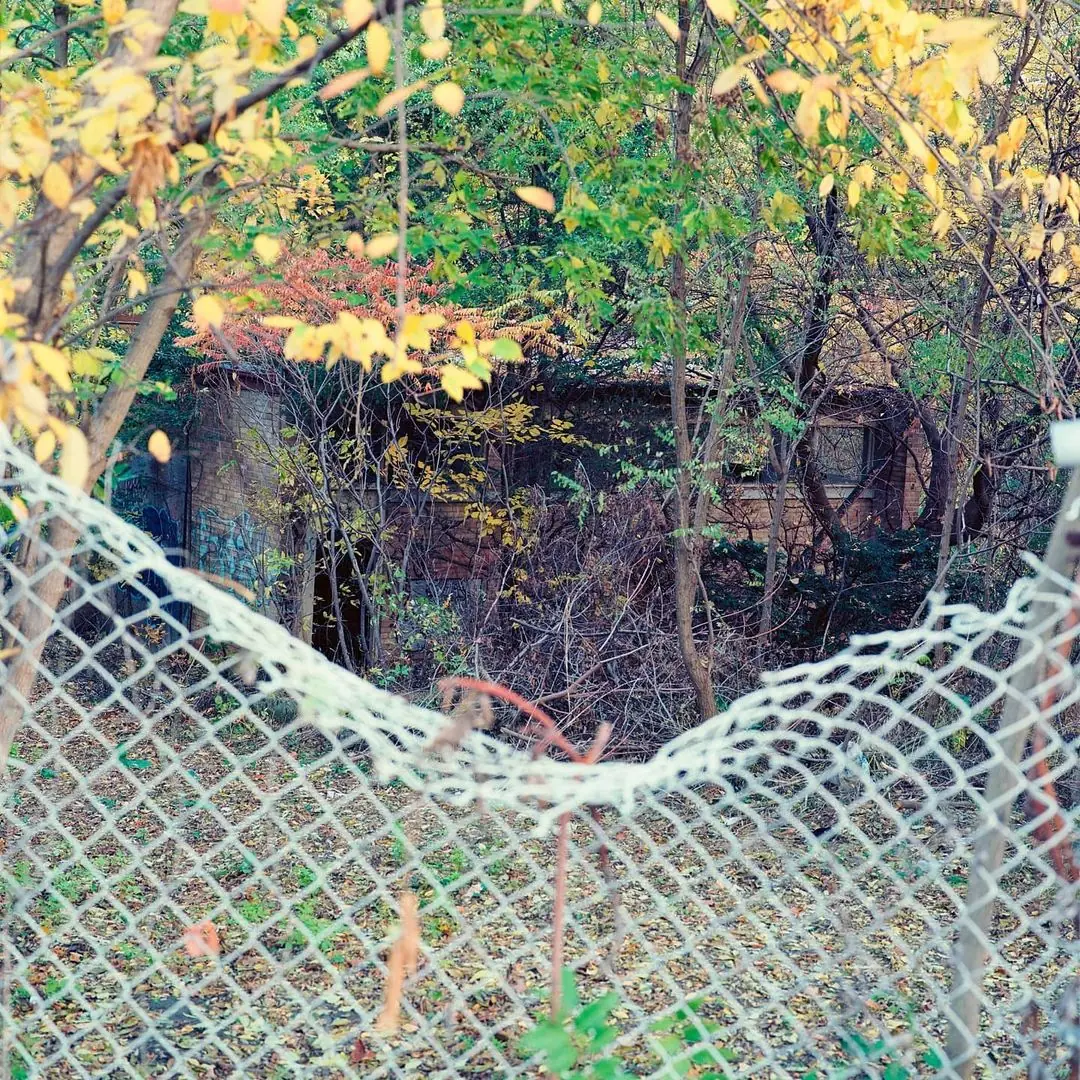 Found in the woods