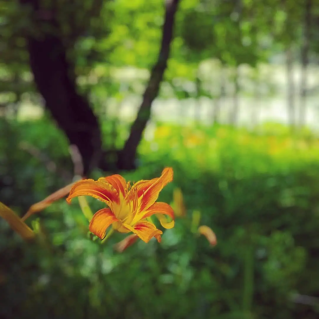 (Untitled)