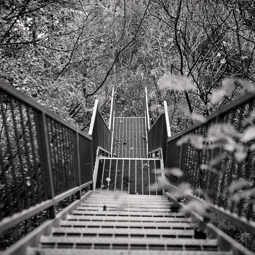 I’ll take the stairs