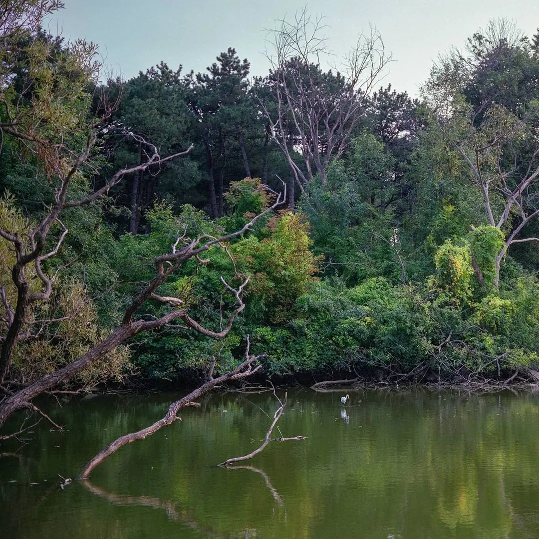Fishing in High Park
