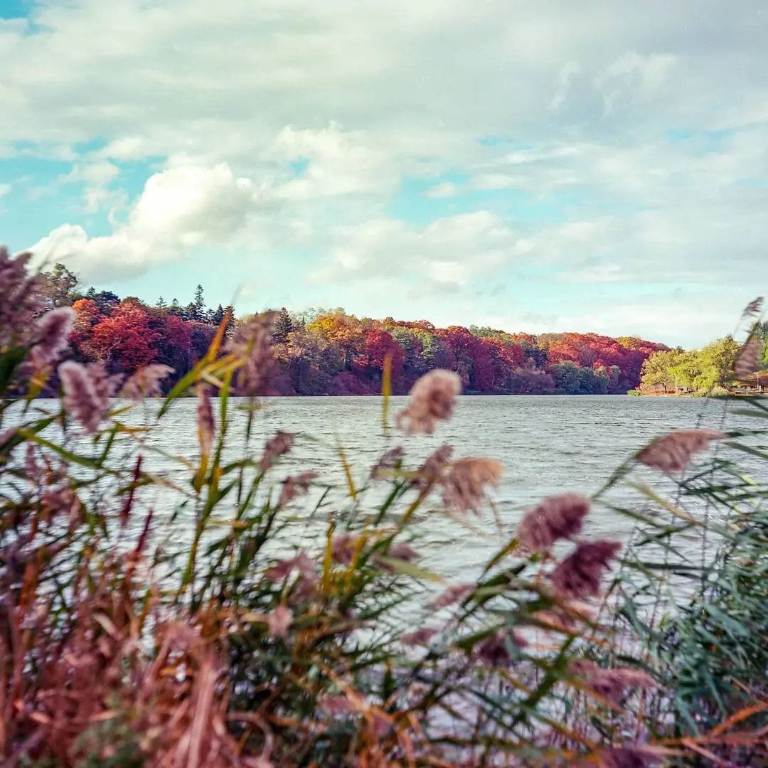 Windy at Grenadier pond