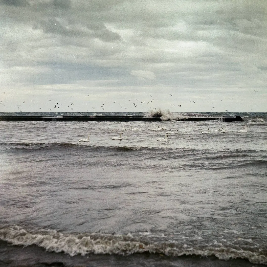 Wave break