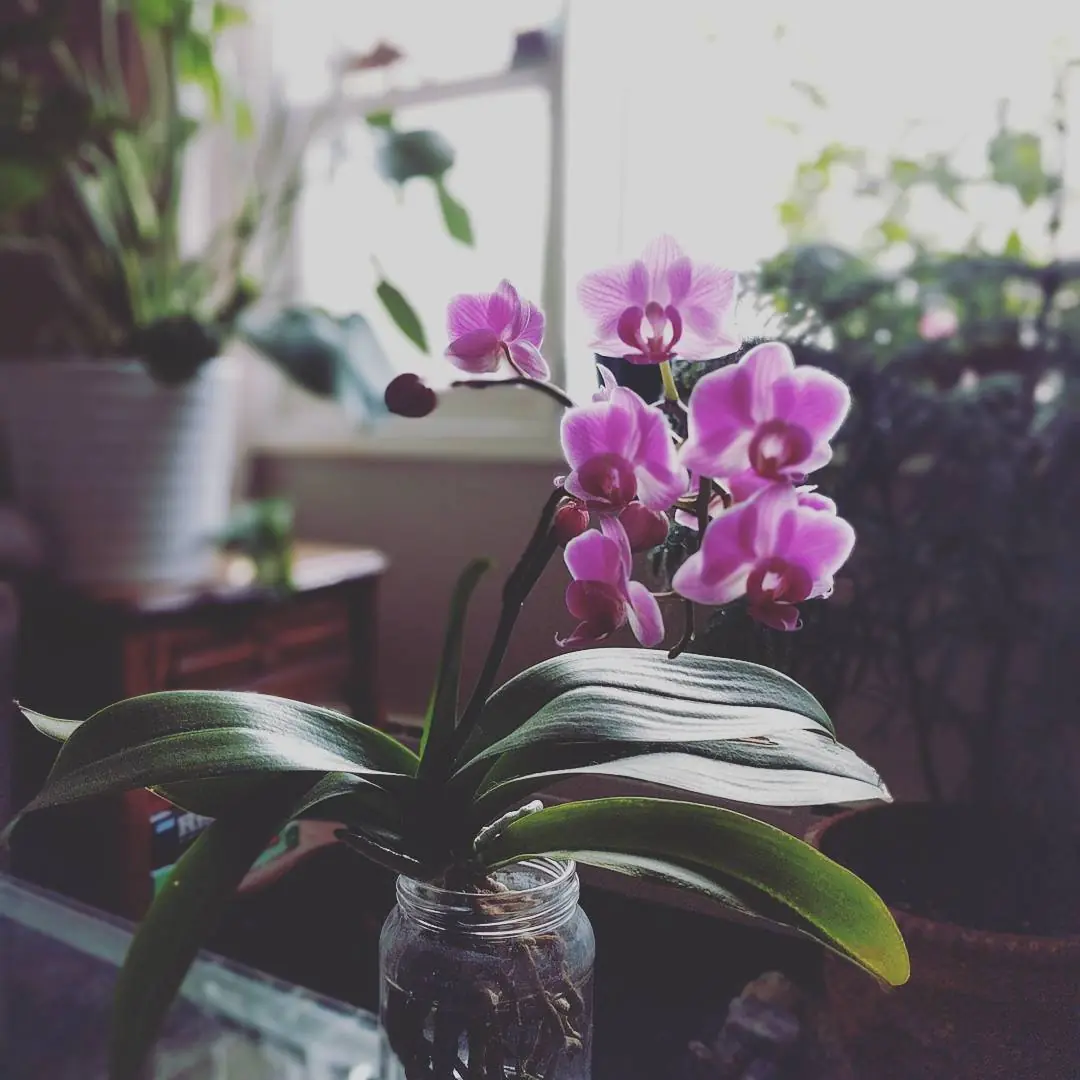 (Untitled)