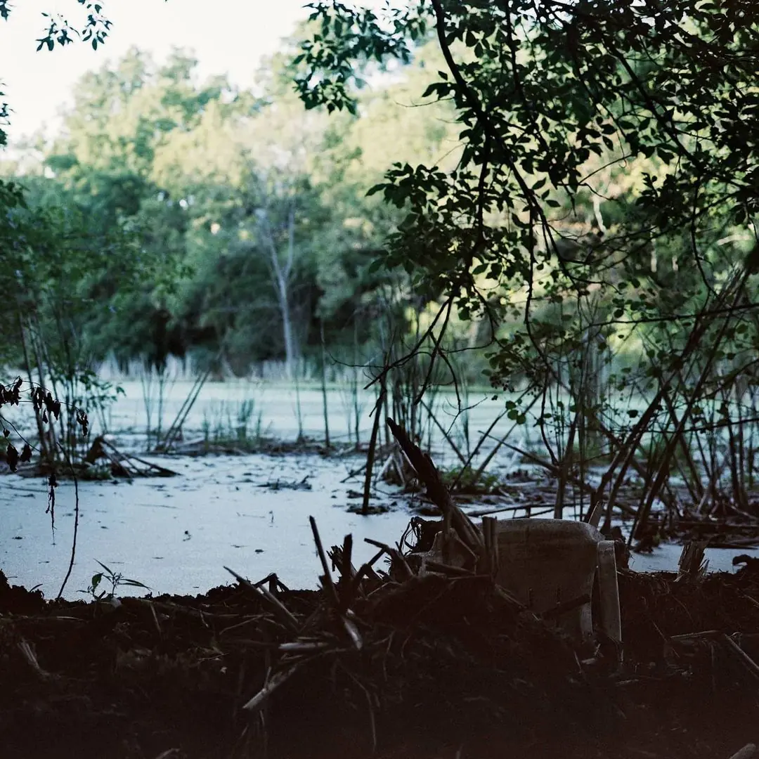 Swamp chair