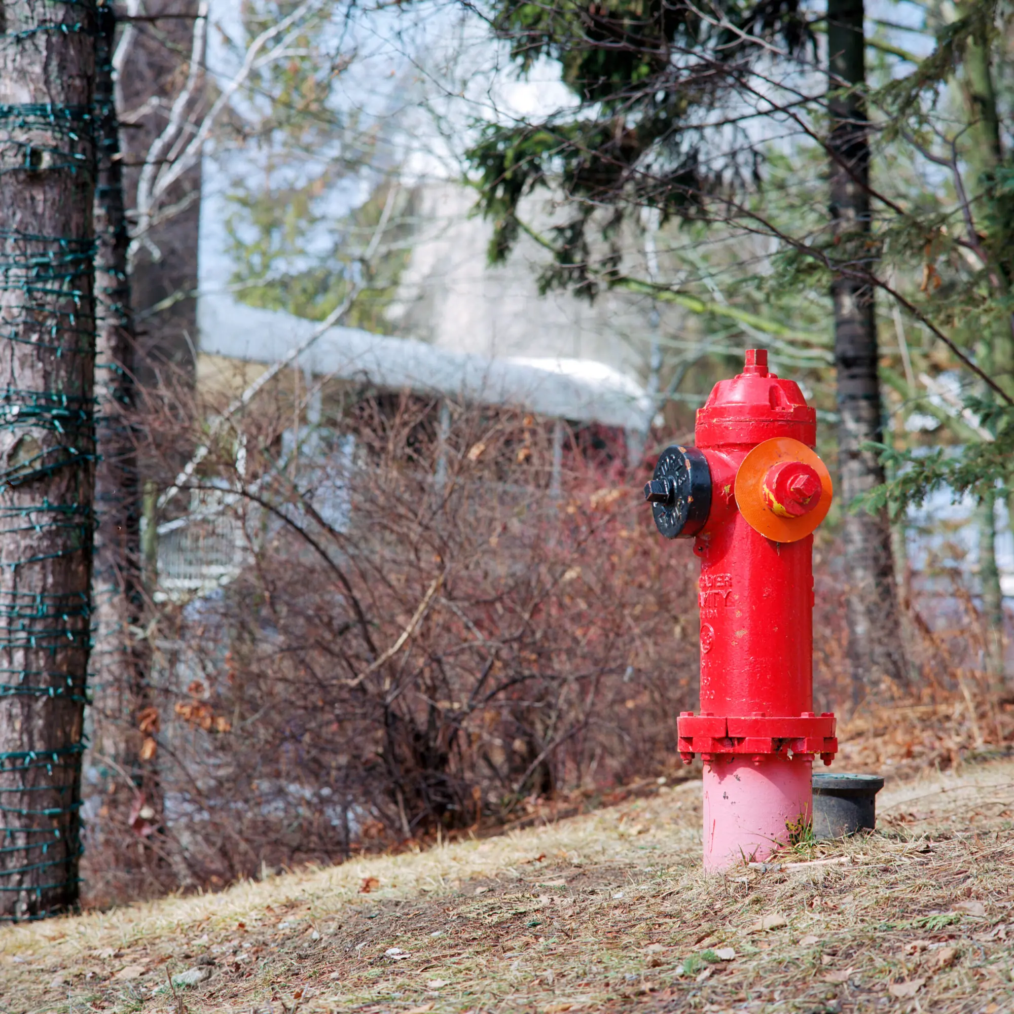 It's a Red Fire Hydrant