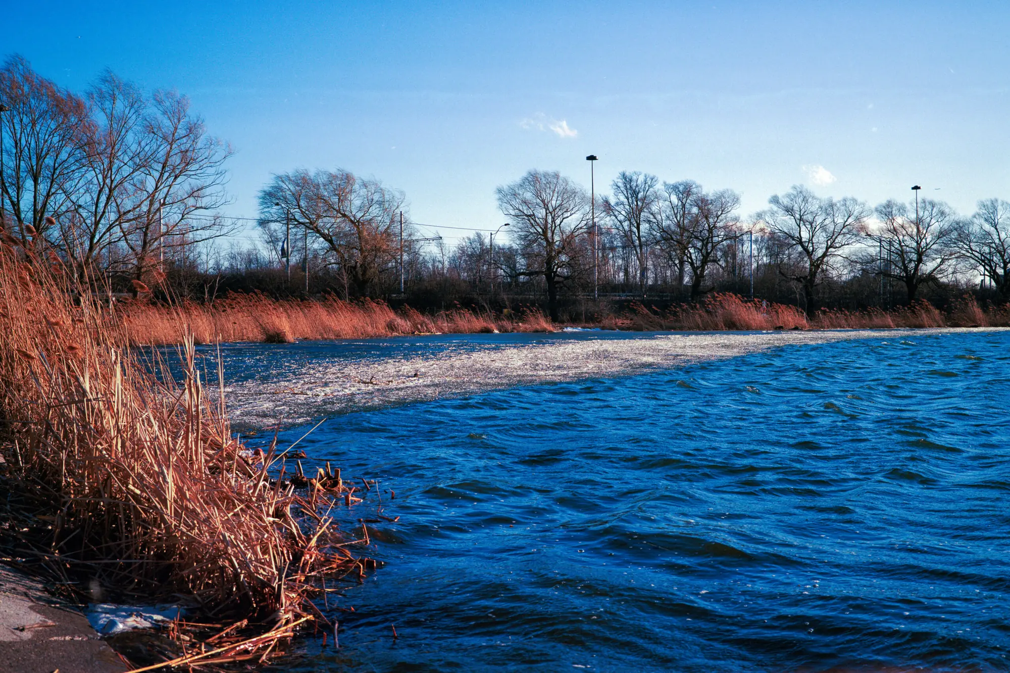 Ice breaking up on Grenadier pond