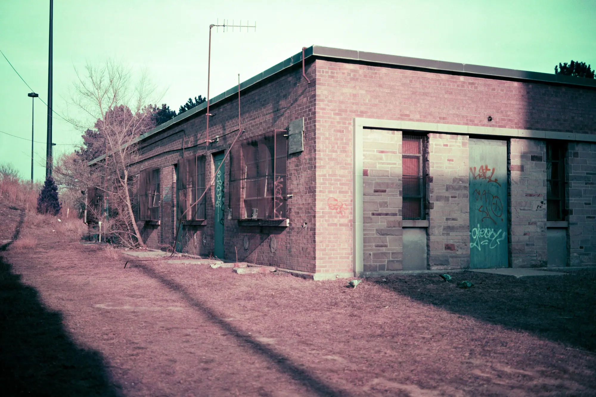 Abandoned at the Bike Park