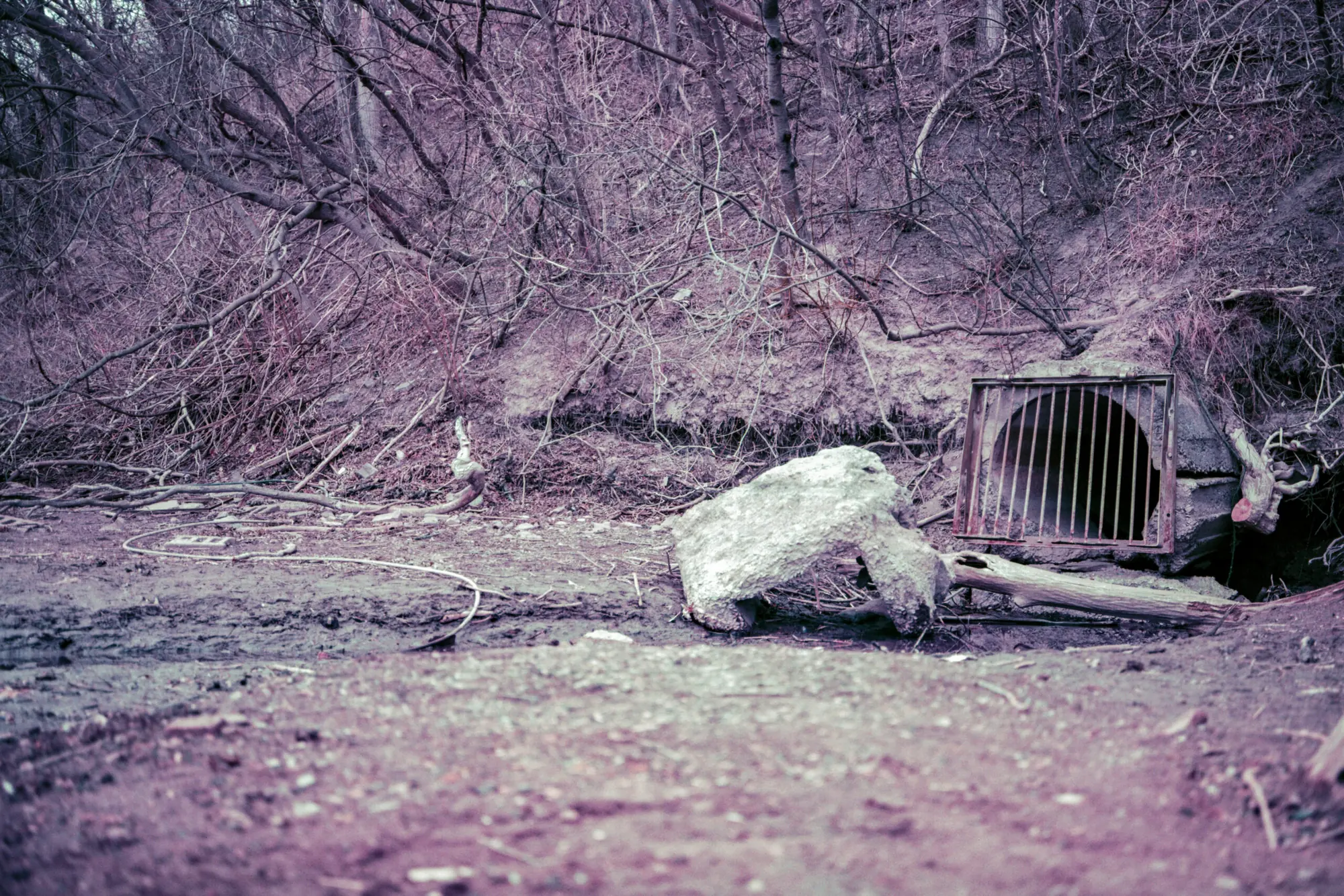 Drain Living