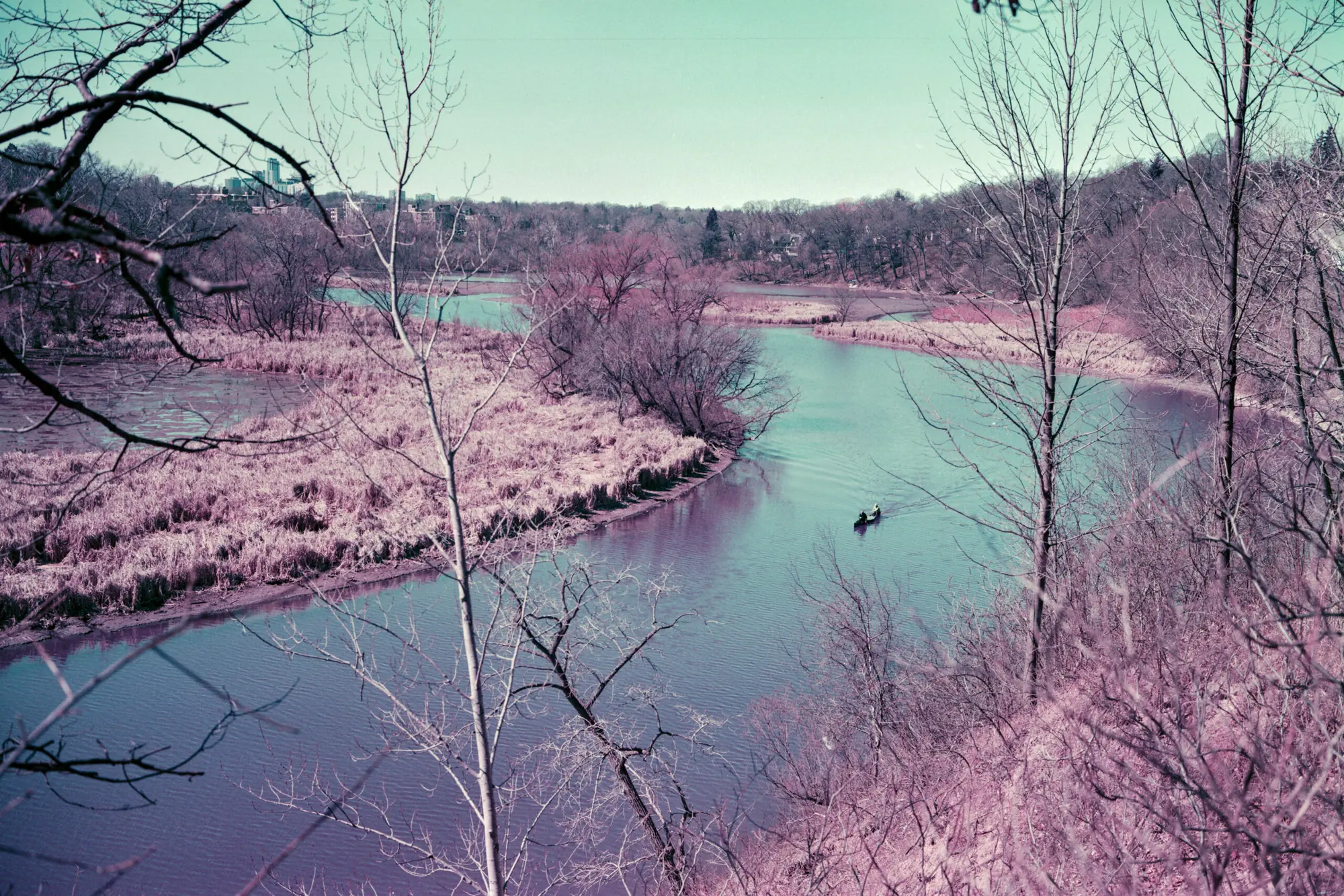 Canoe on the Humber River