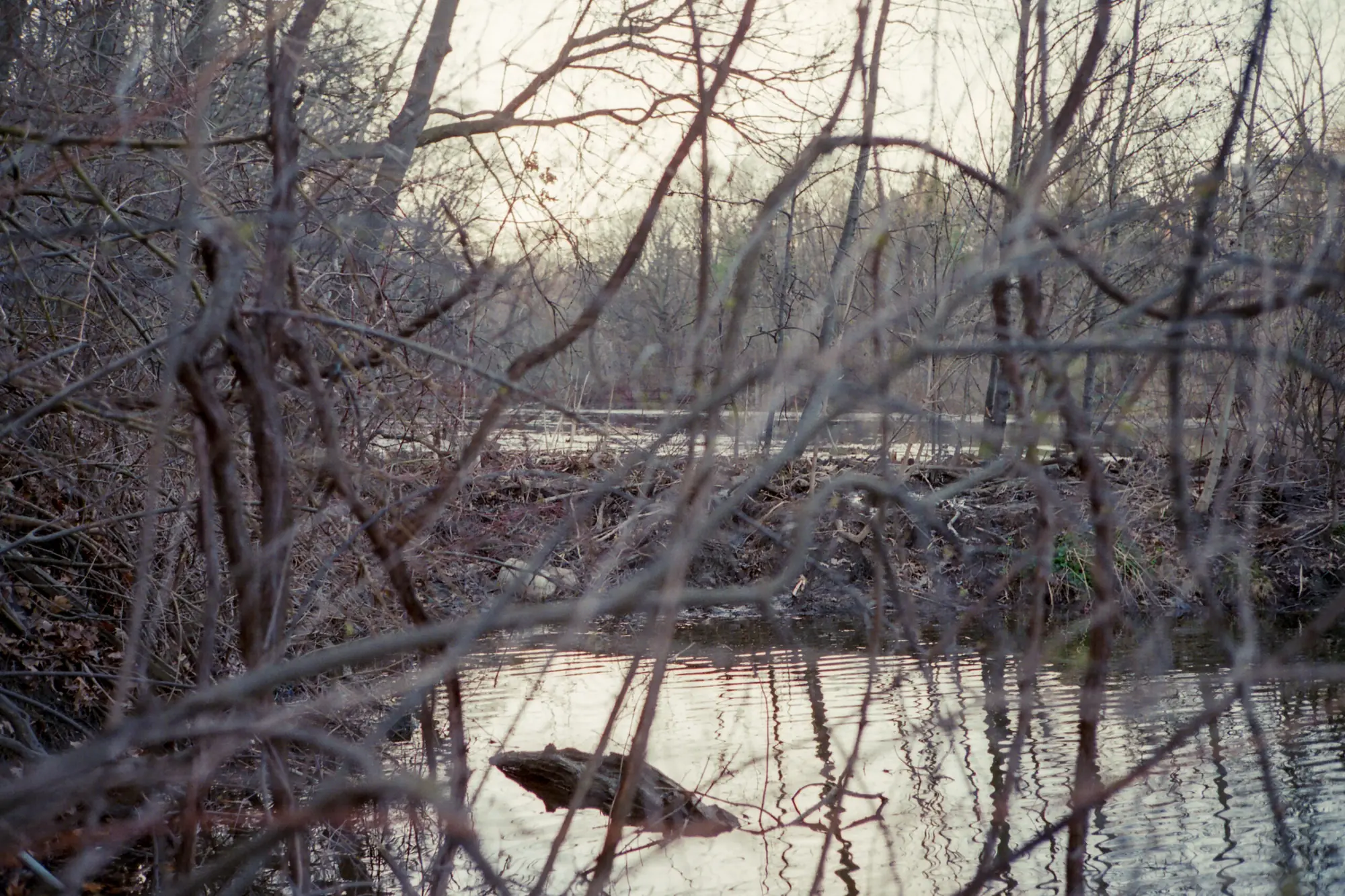 Water Line