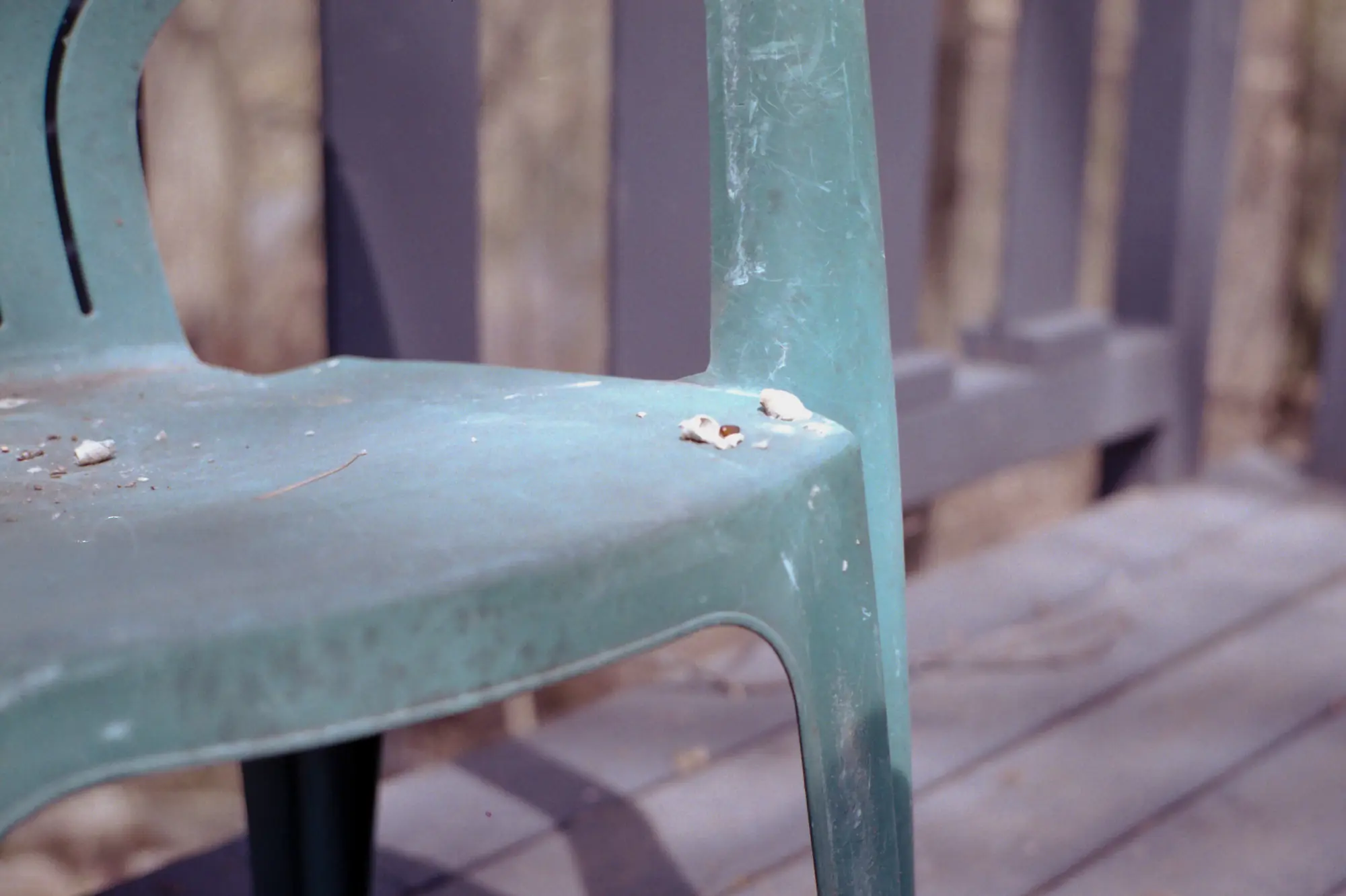 Failed Mud Dauber
