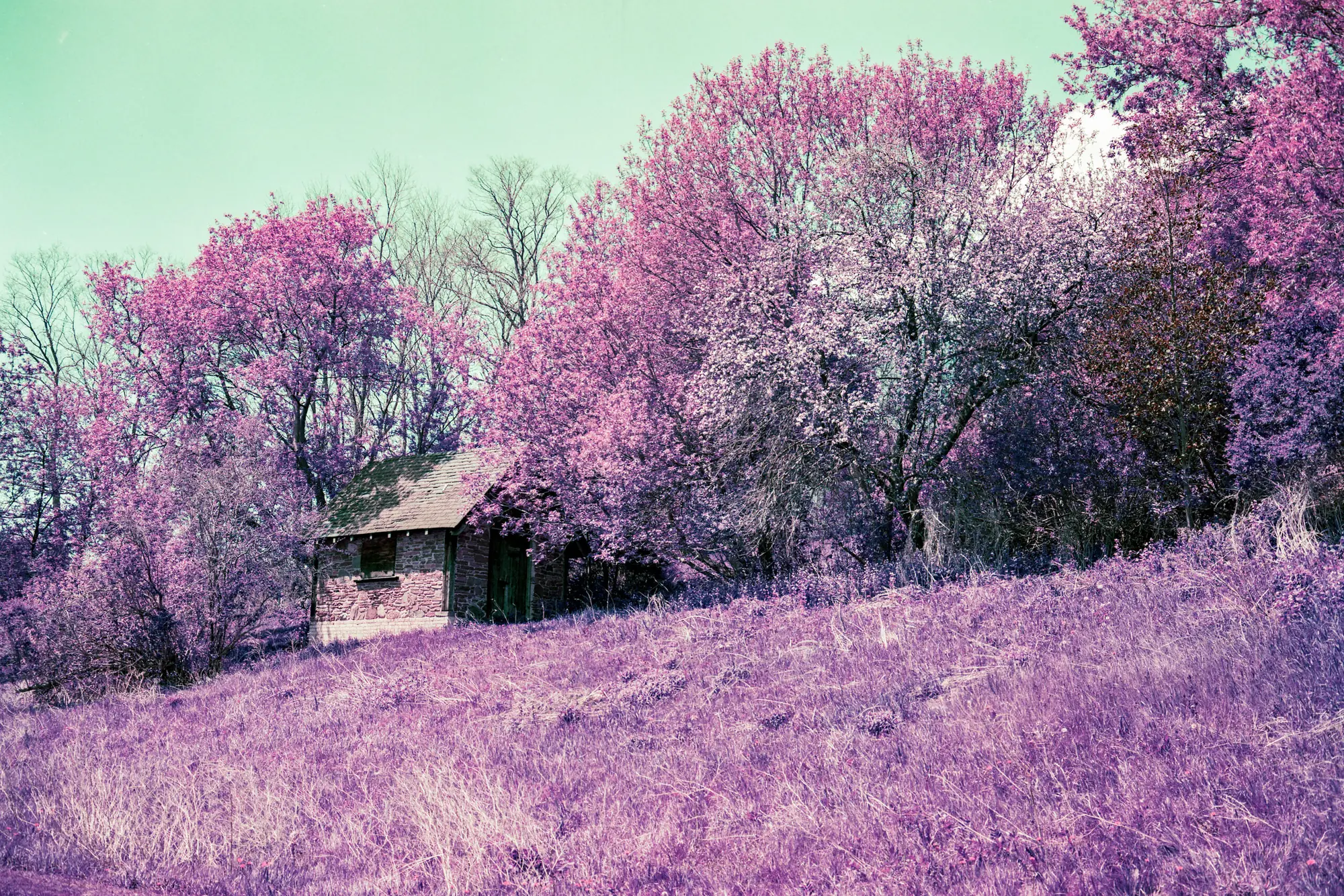 Rivermede Cottage