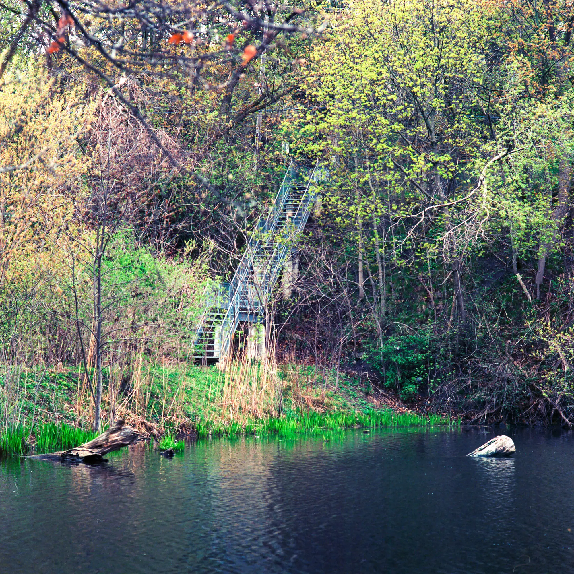 Spring Stairs