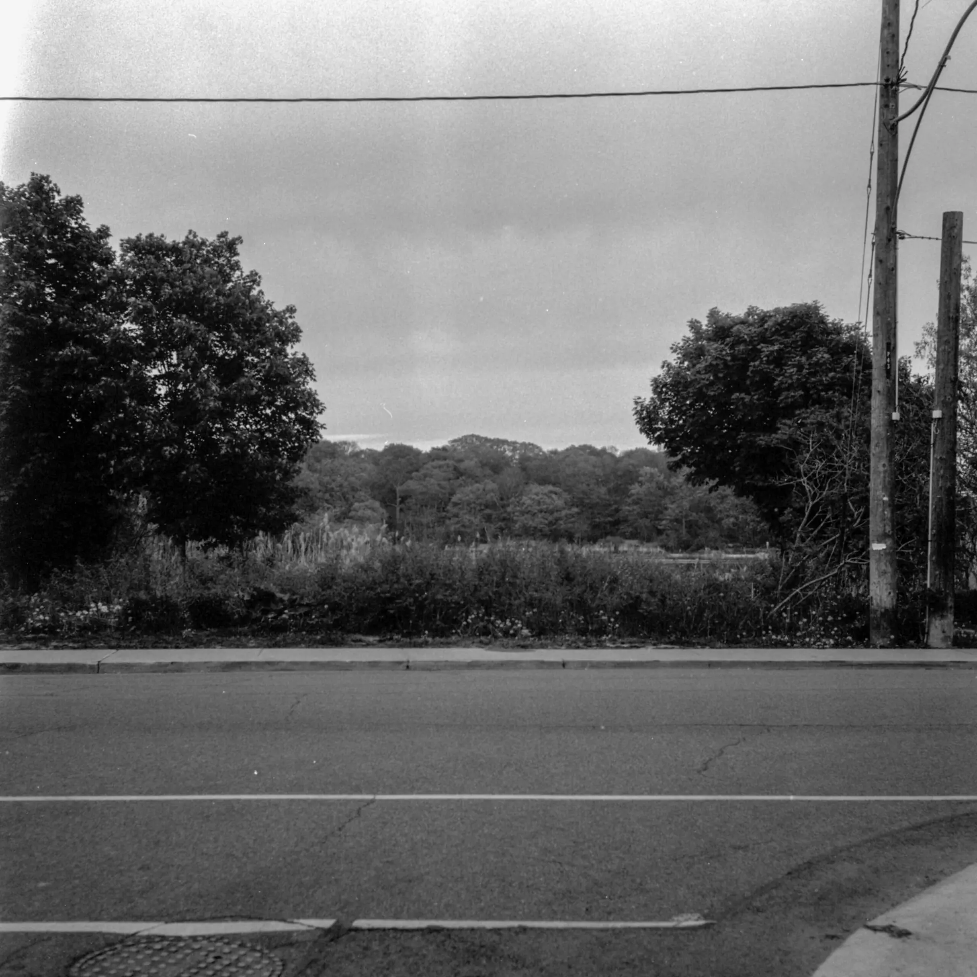 High Park in the Distance