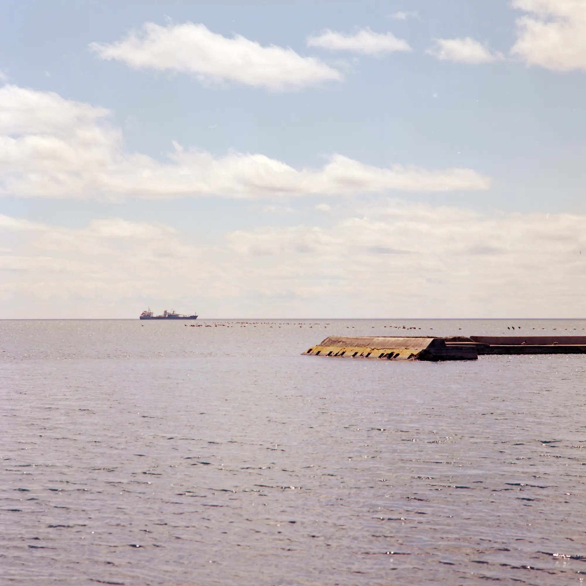 Shipping
