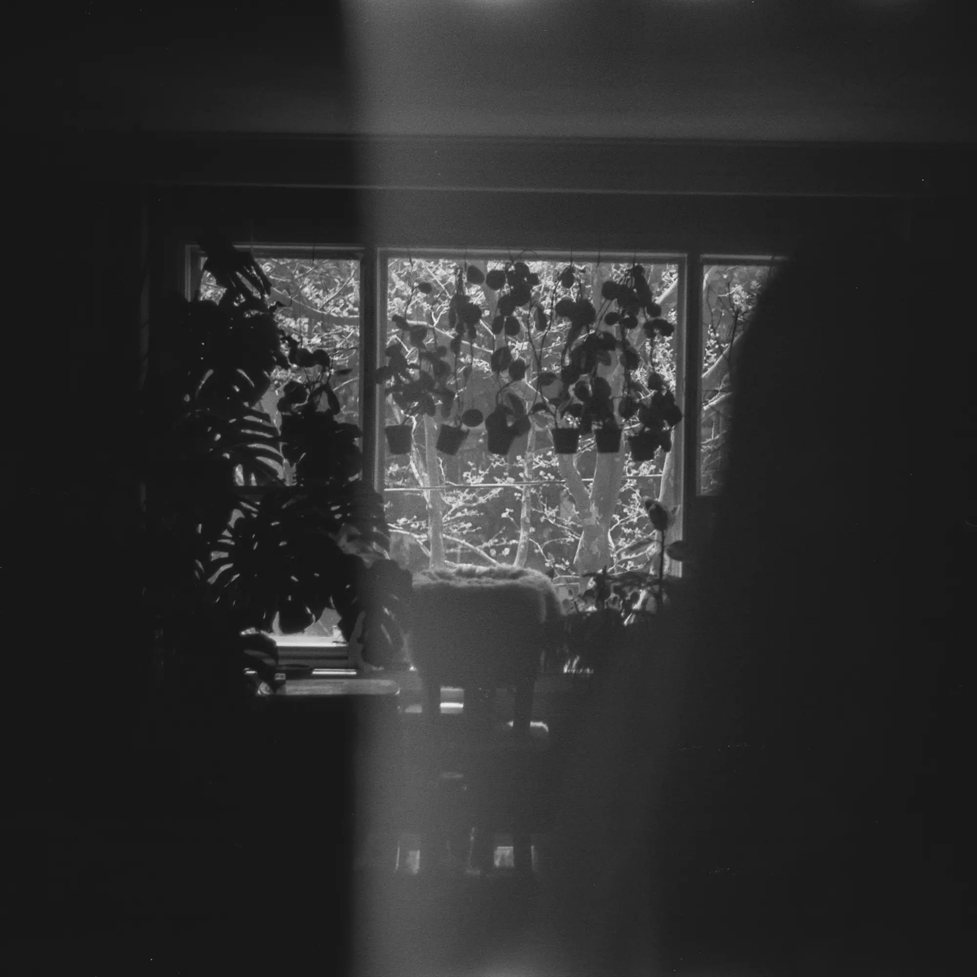 The Old Place