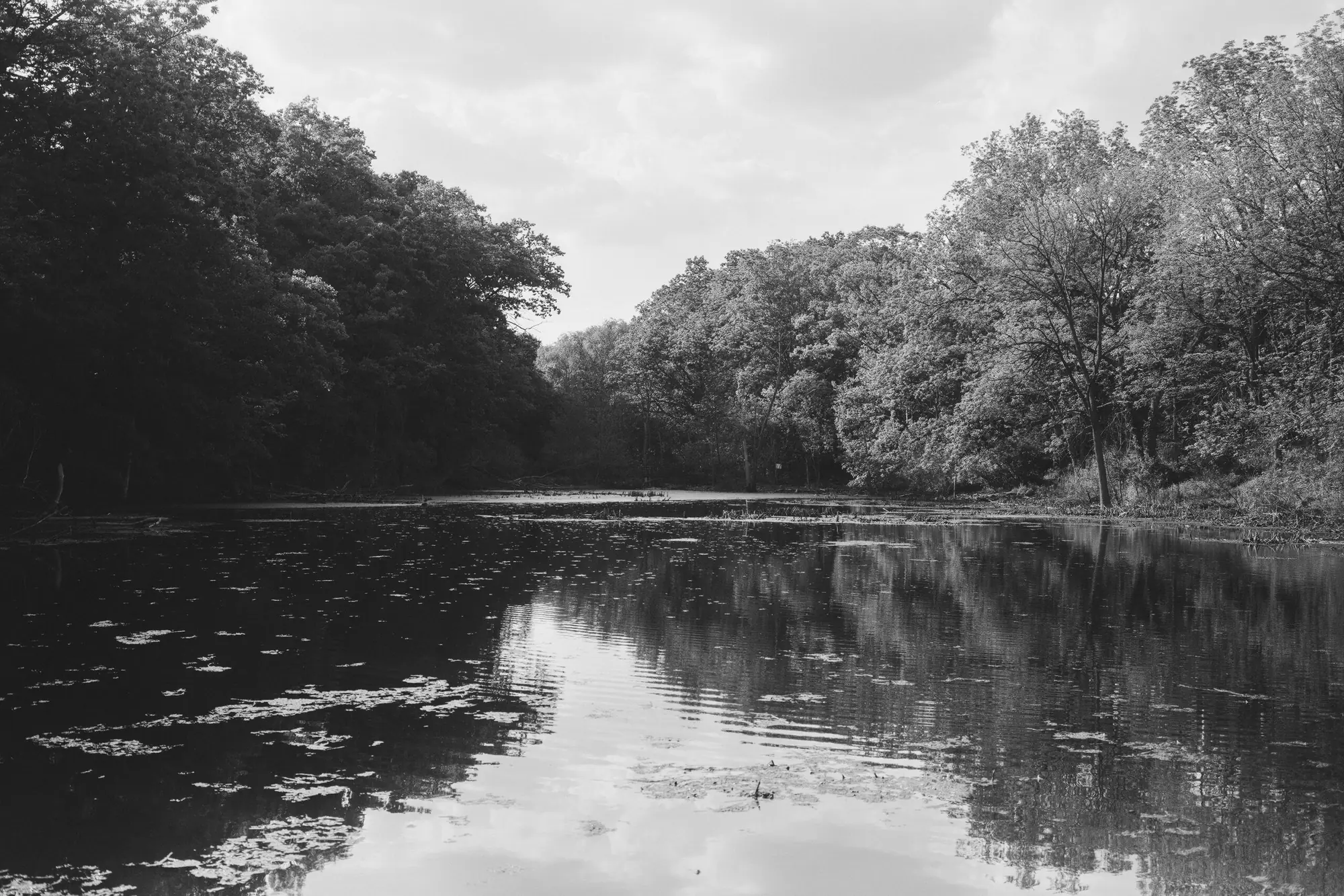 High Water at Catfish Pond