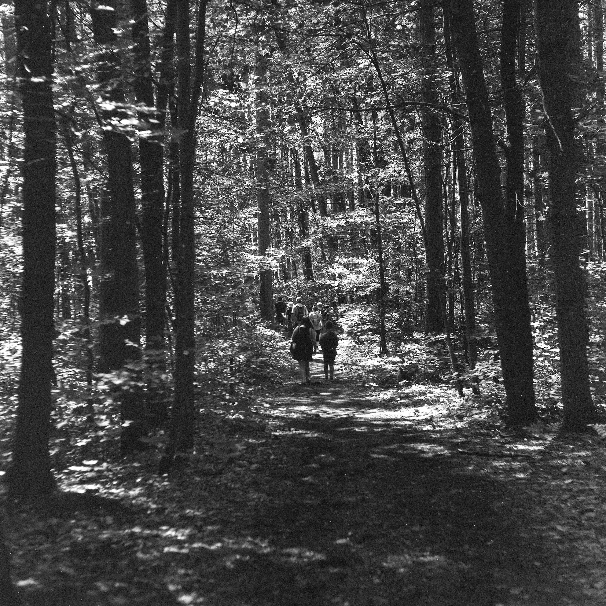 A walk through Foy