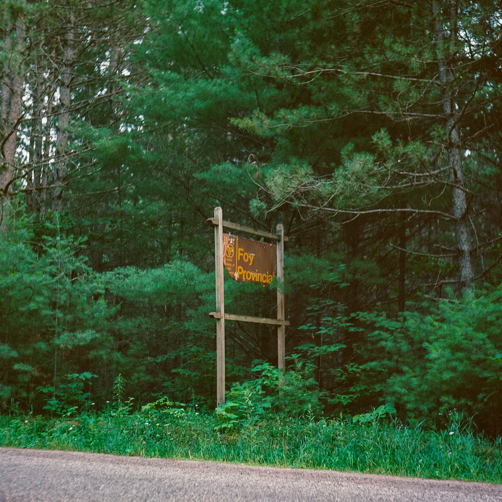Foy Sign
