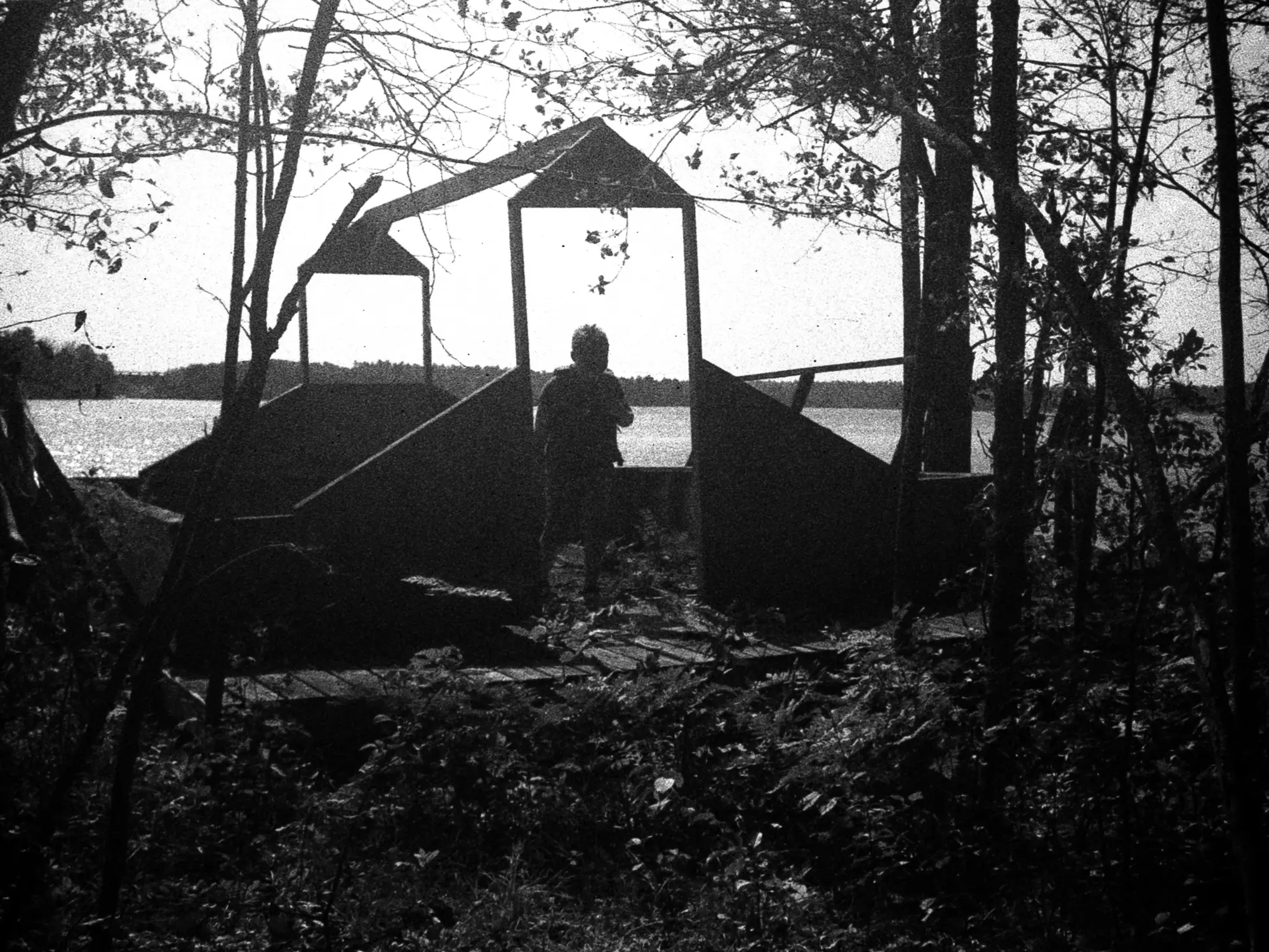 Abandoned Cabin Frame