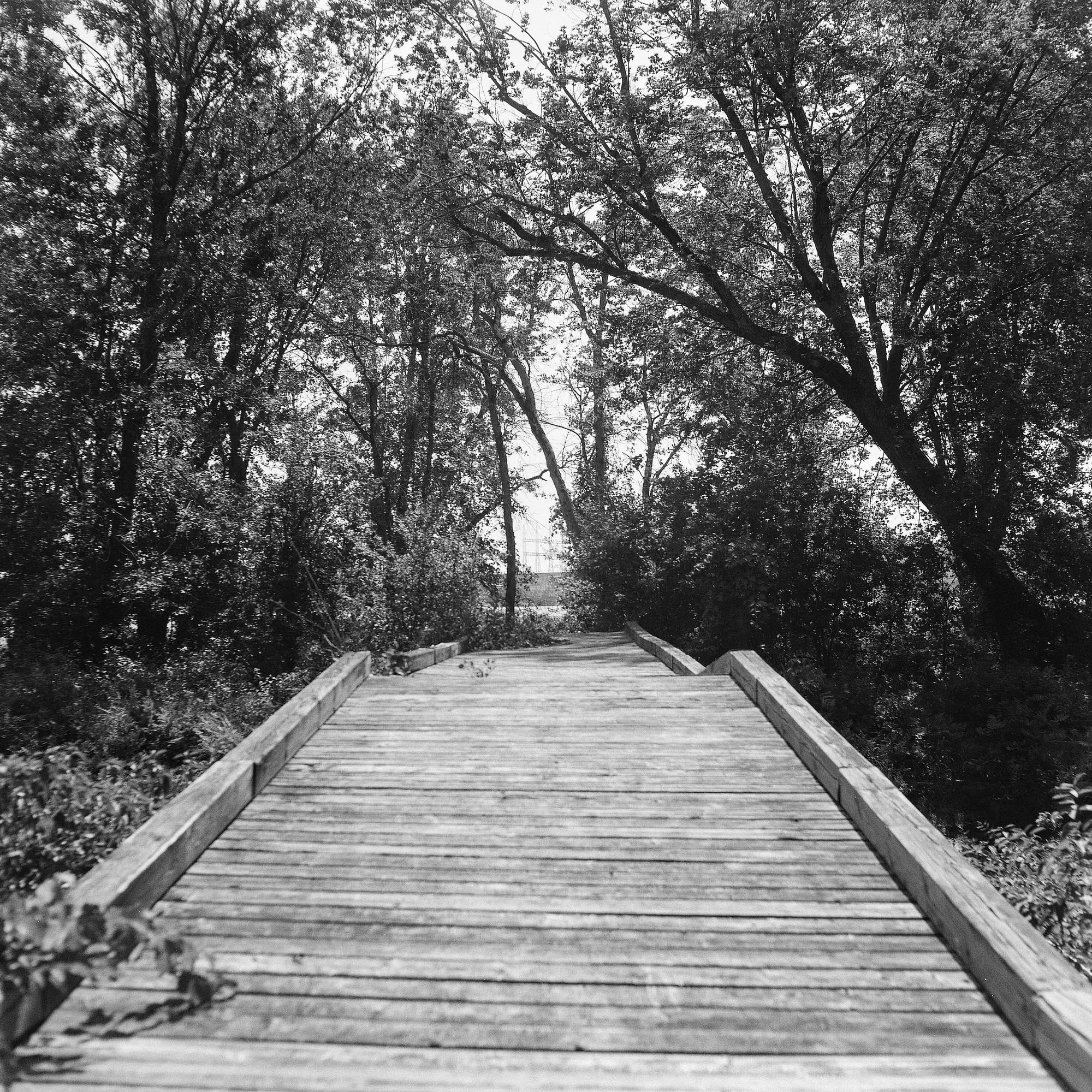 This way to the other smaller island