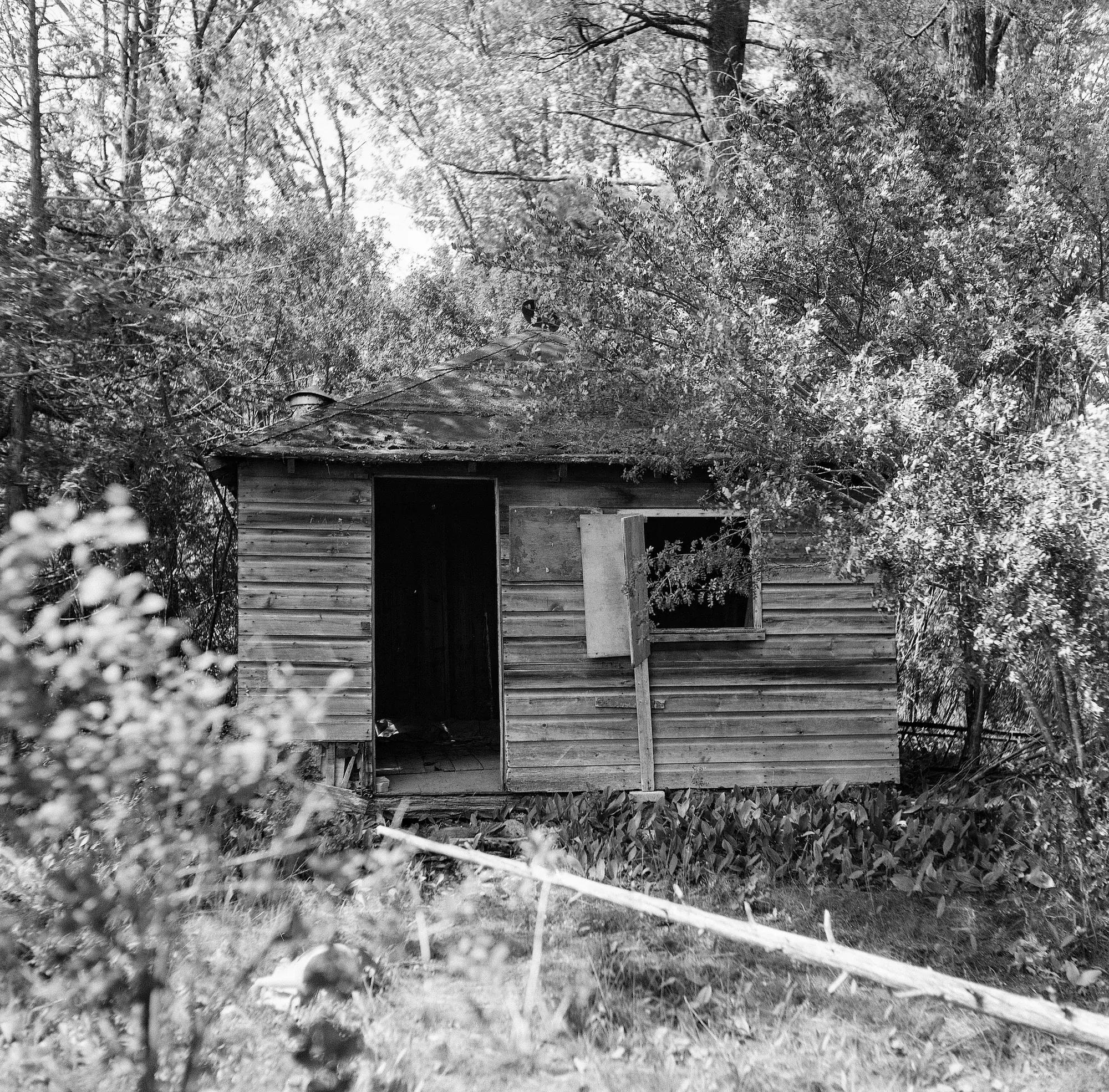 Why are there so many abandoned cabins on this island