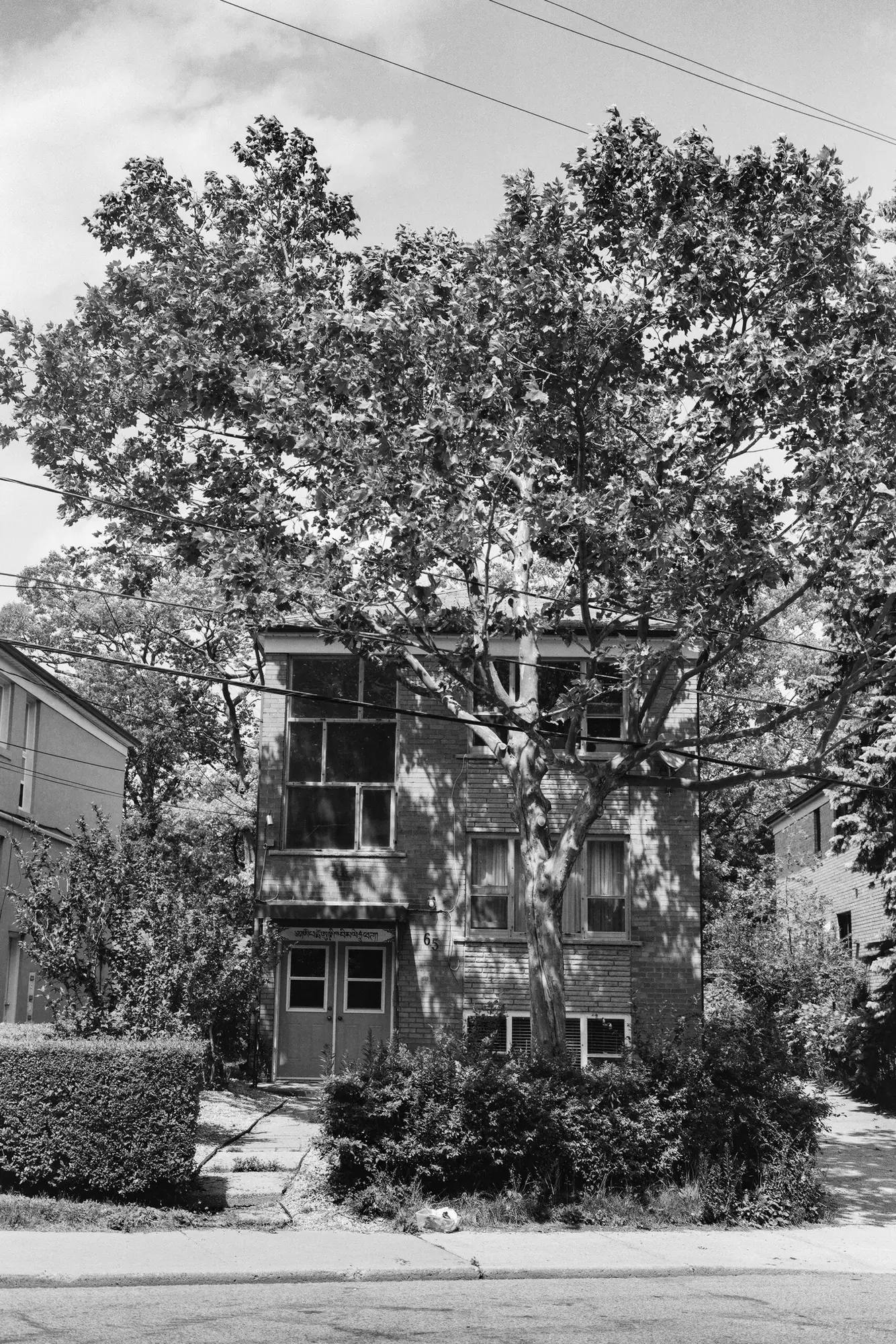 The Old Place