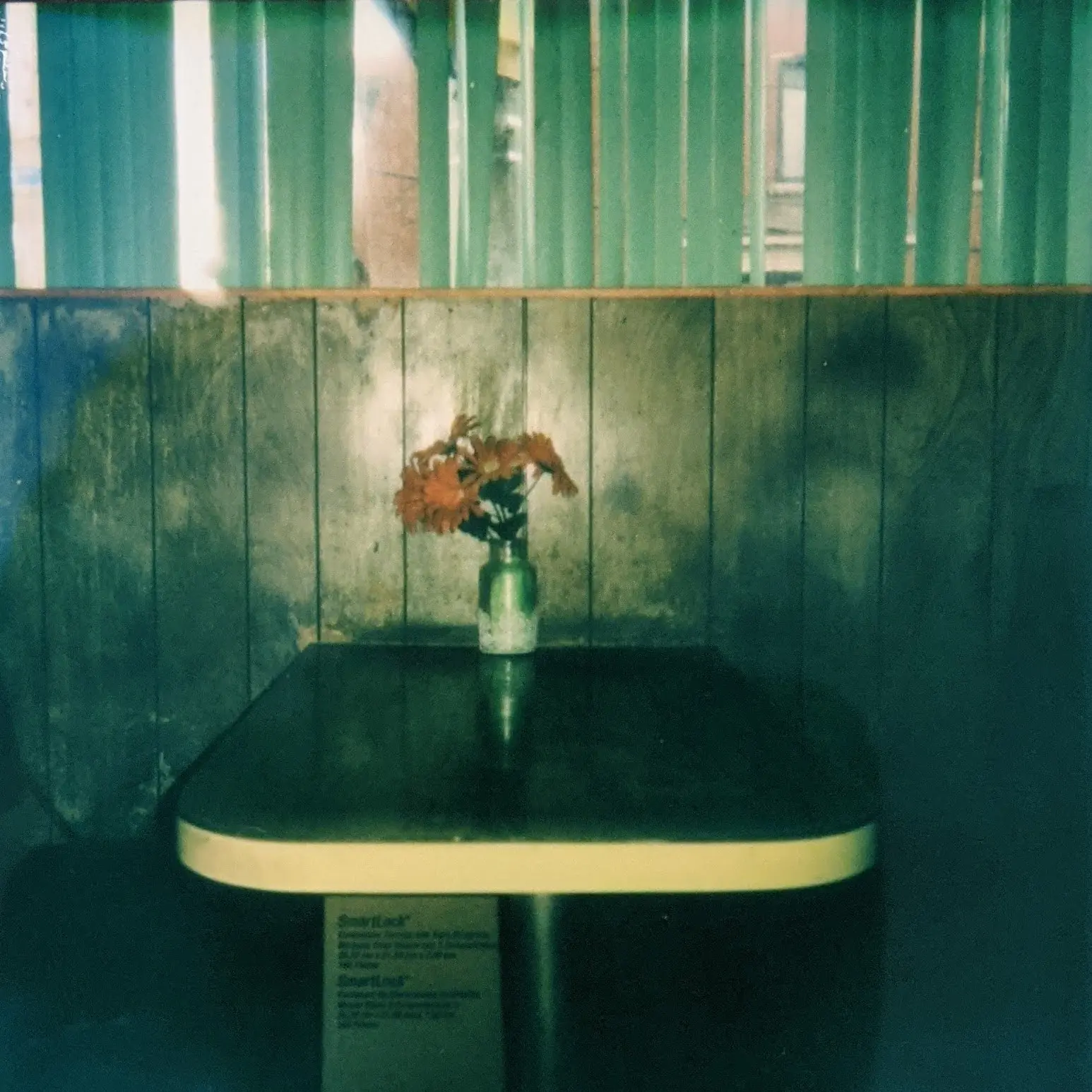 The Flowers at Gale's Snack Bar