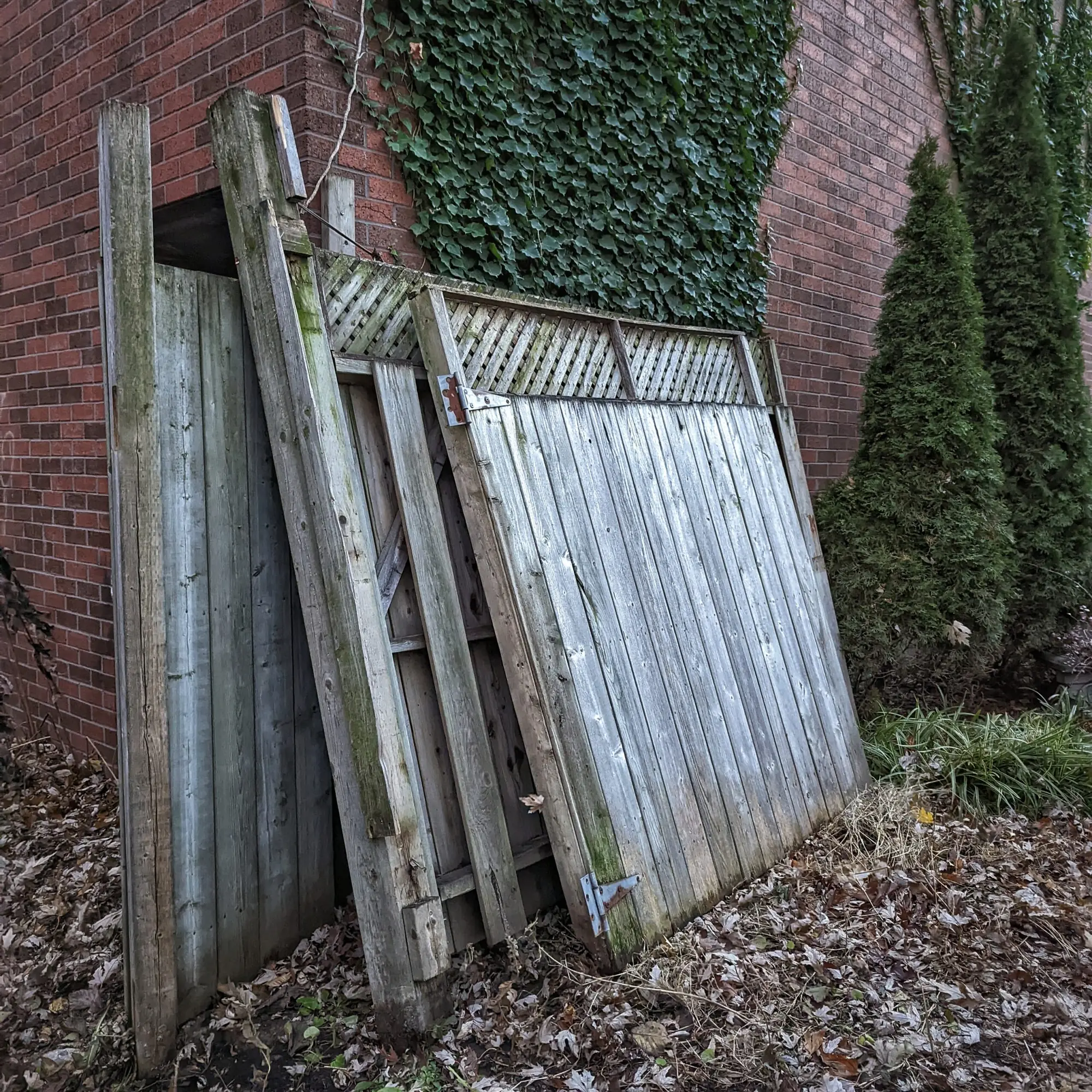 Goodnight Sweet Fence