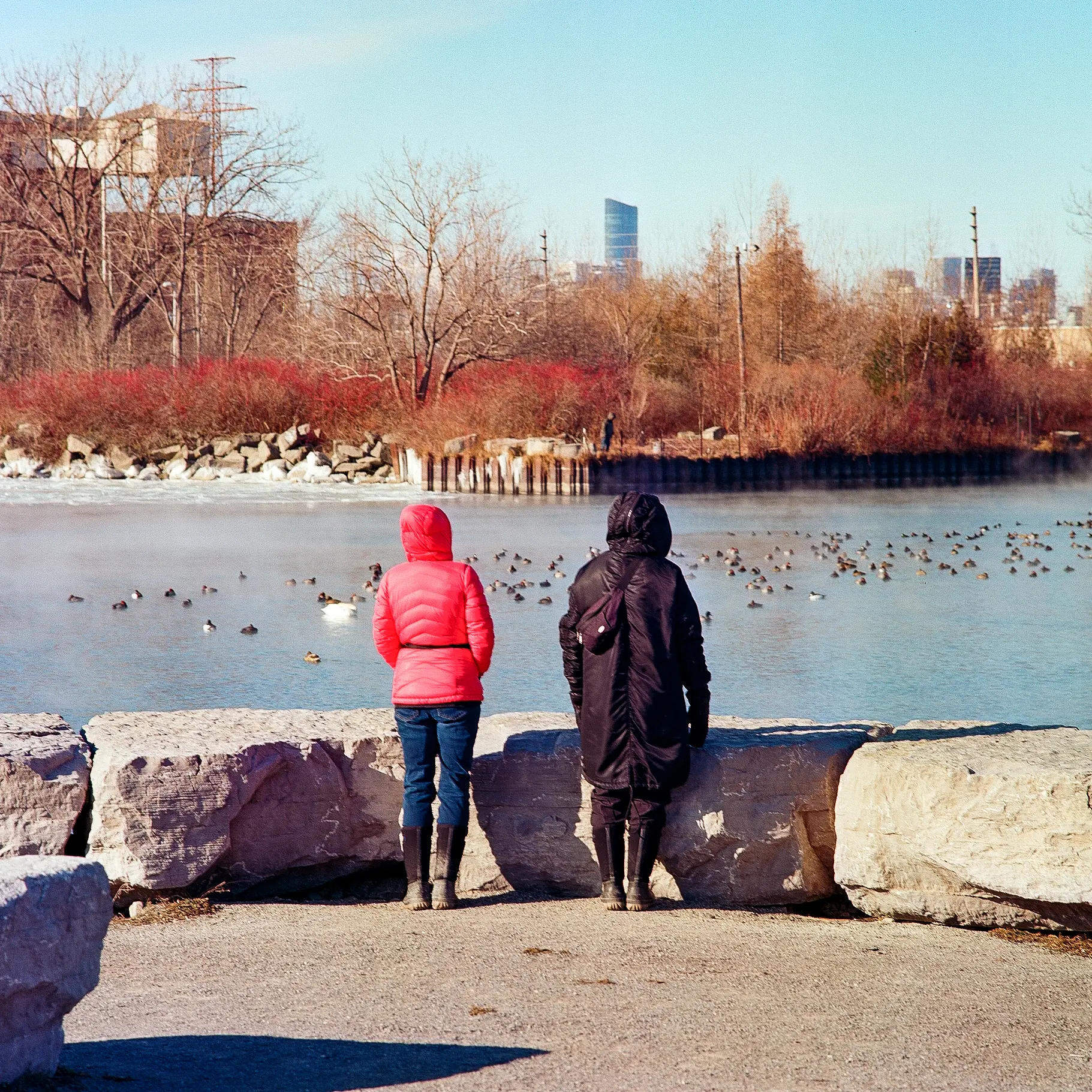 A Cold Day