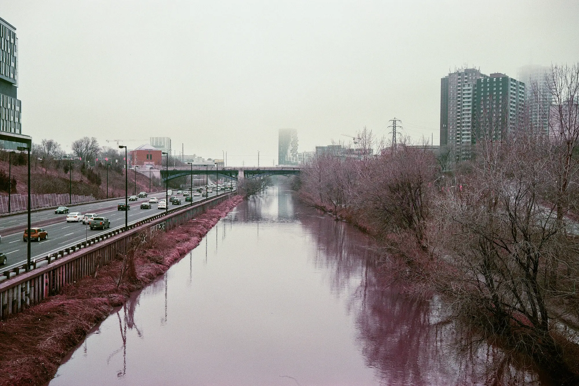 Don River