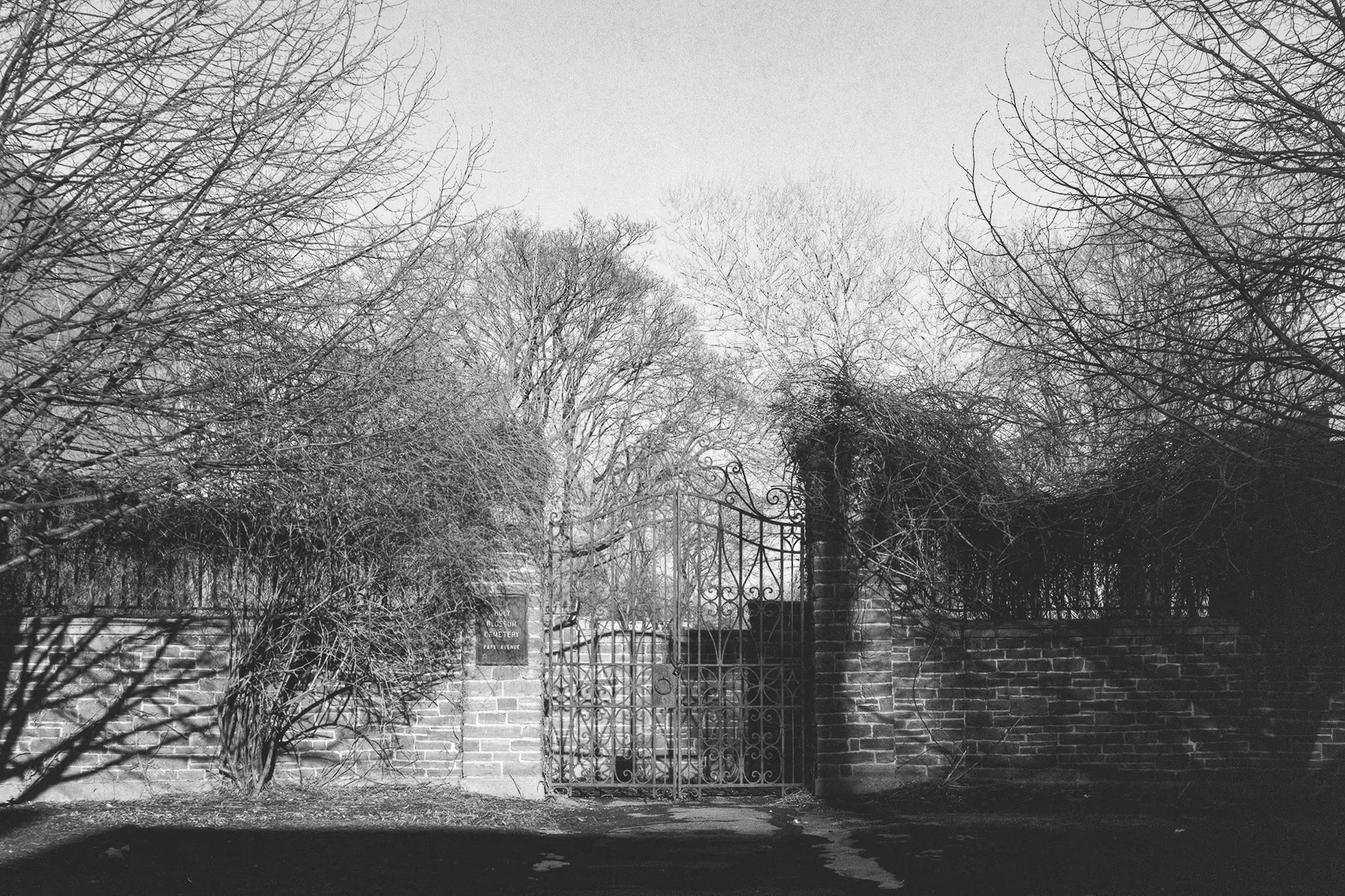 Cemetery Gate