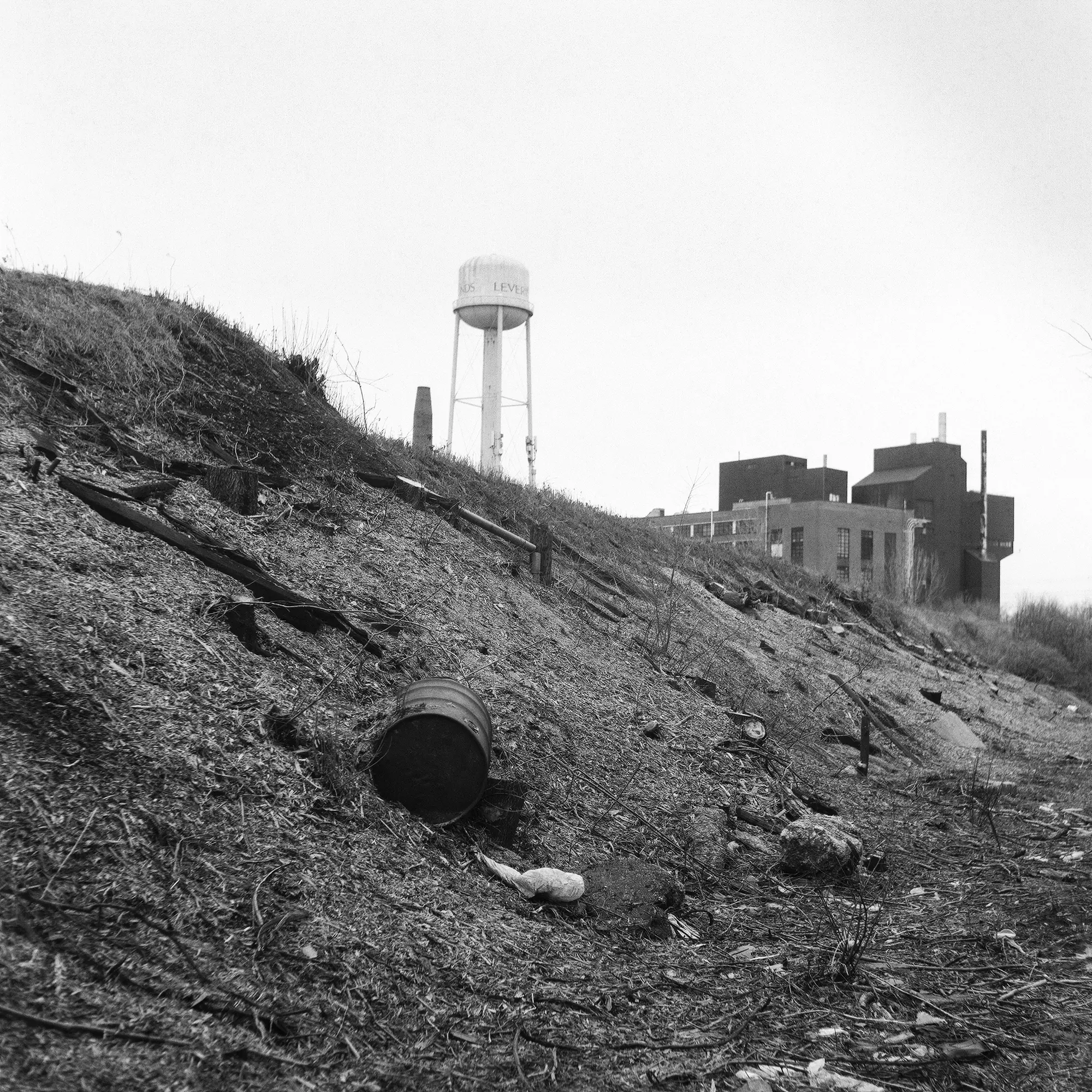 Cutting down all the trees has revealed the barrels of toxic waste