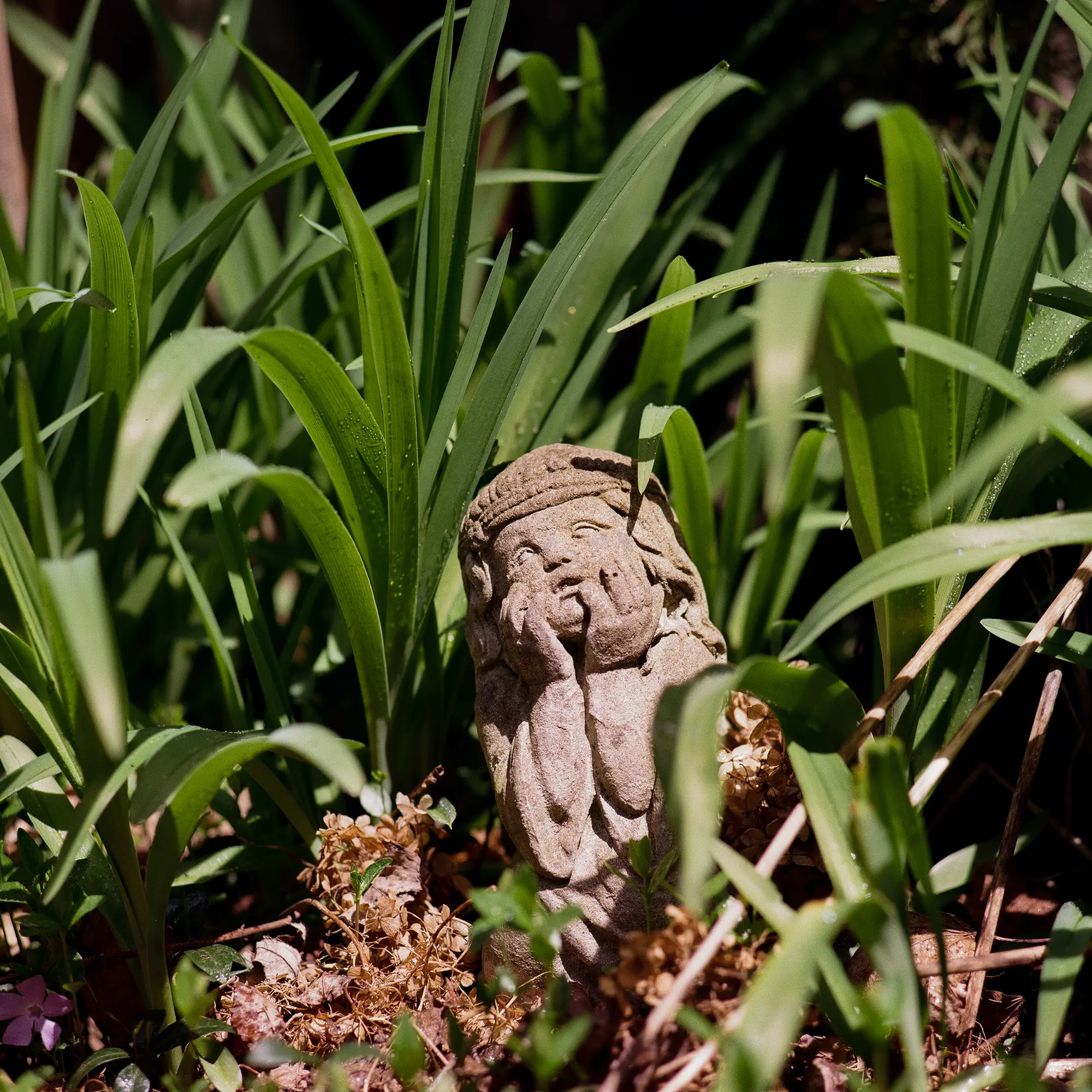 Dead Heads