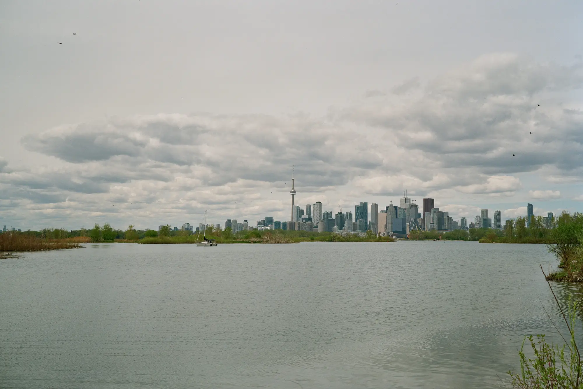 Cloudy Skyline