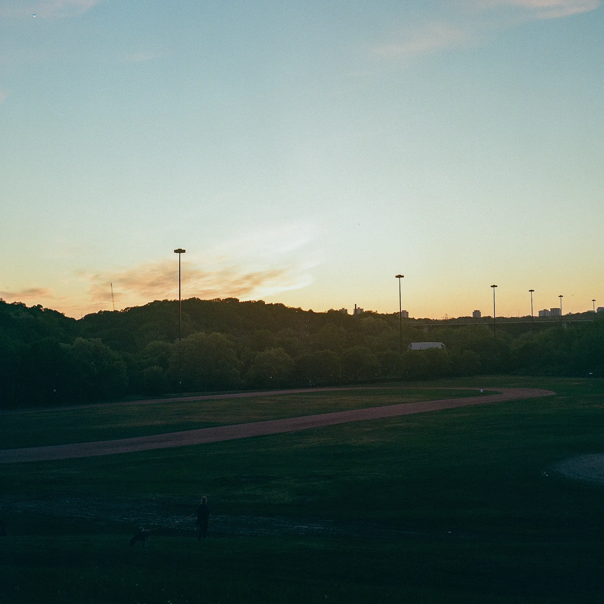 Dog Walker at Sunset