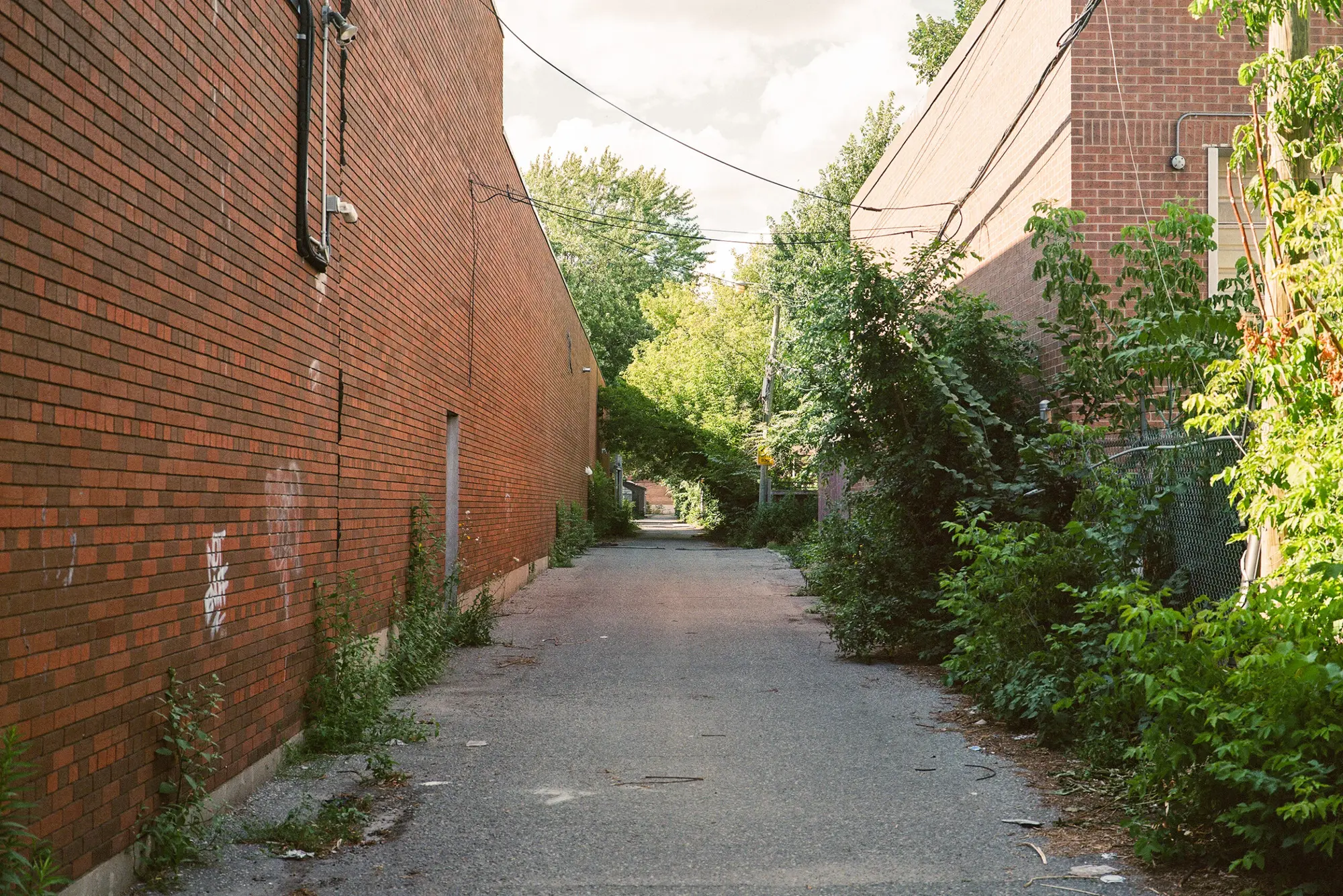 An Alley in Summer