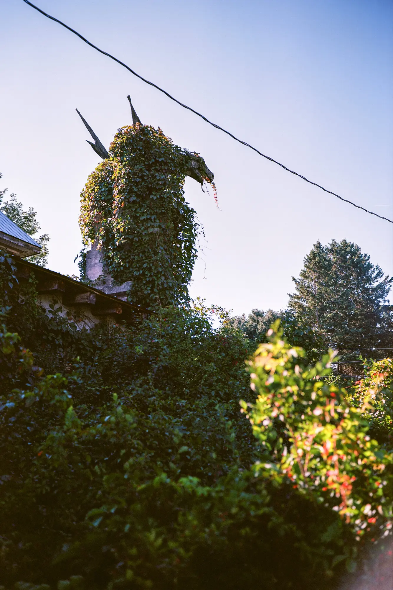 Overgrown Dragon