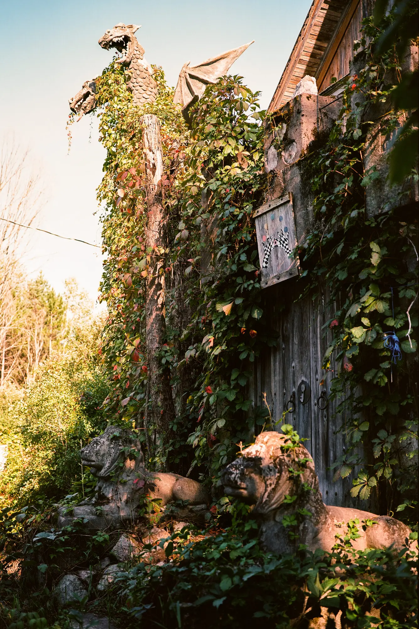 Stone Menagerie
