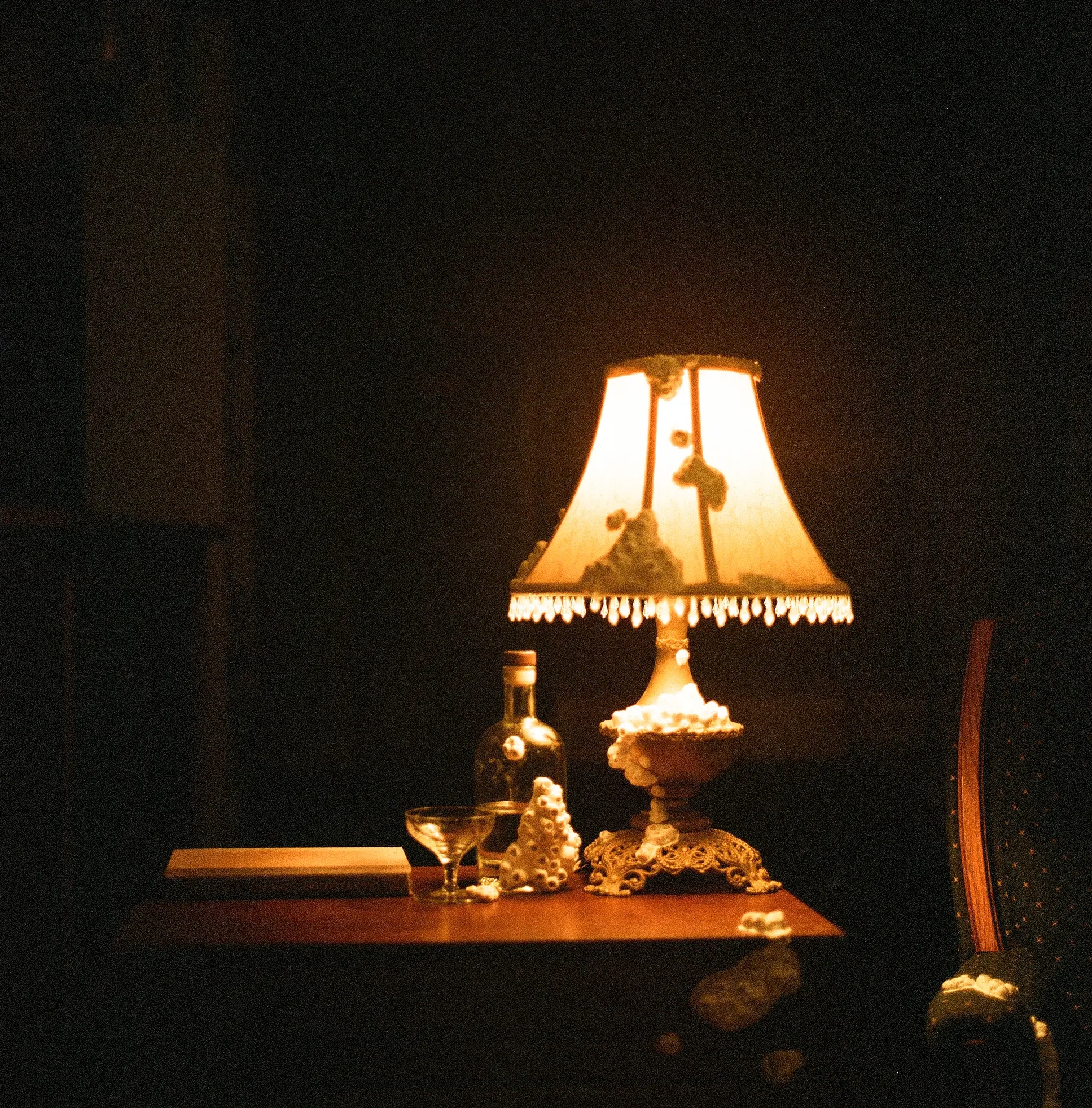 Barnacle Light