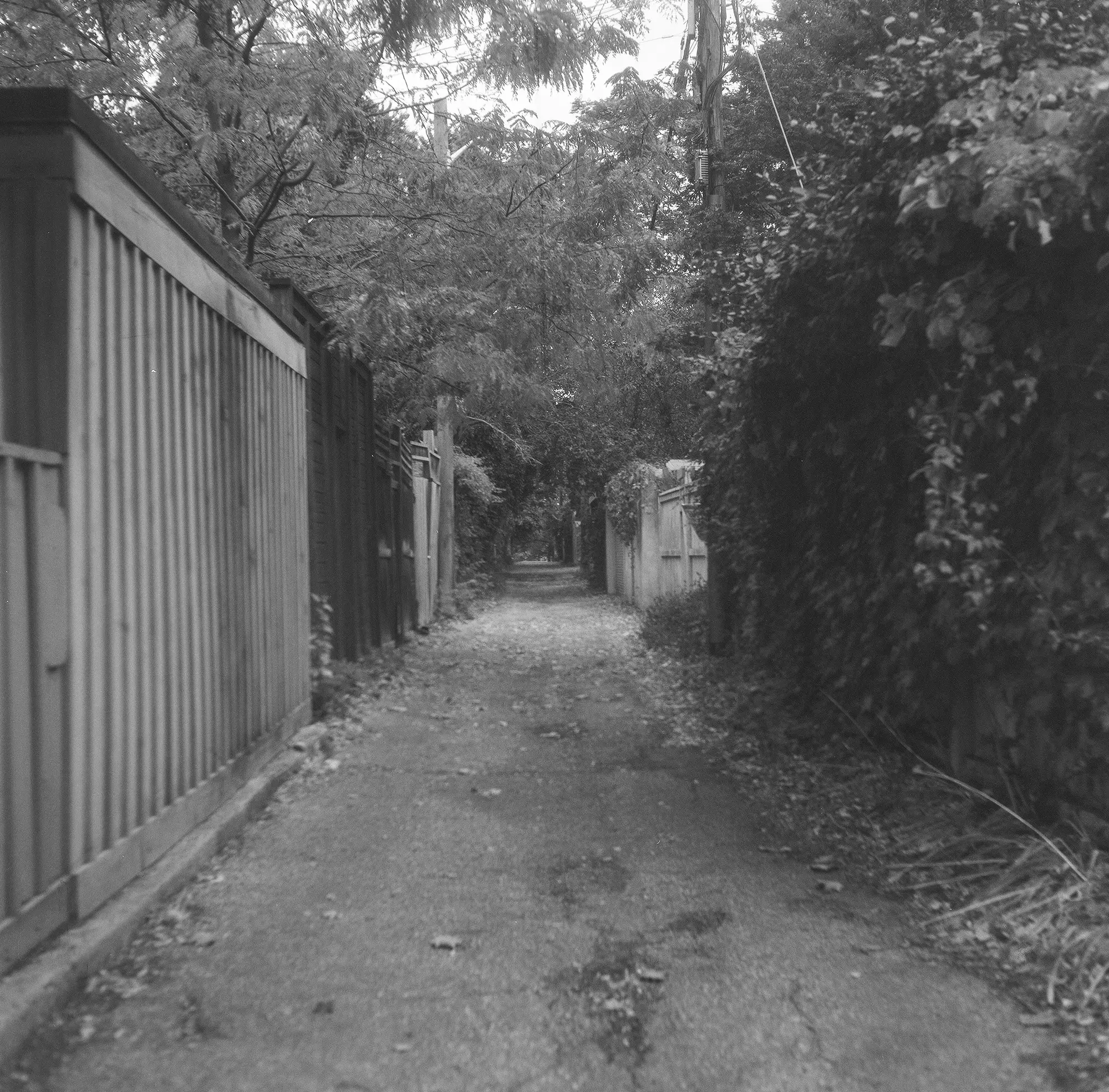 An Alley